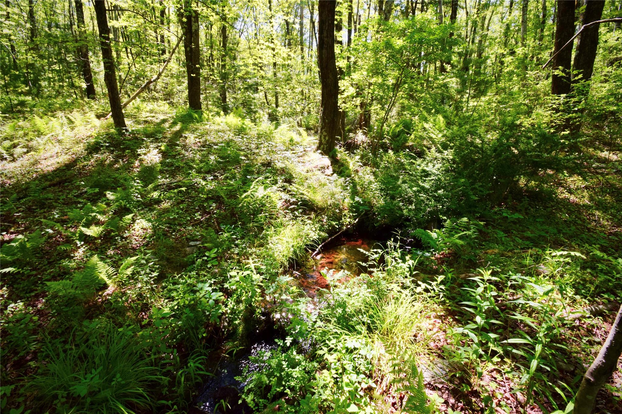 Rt. 52, Ellenville, NY 12489