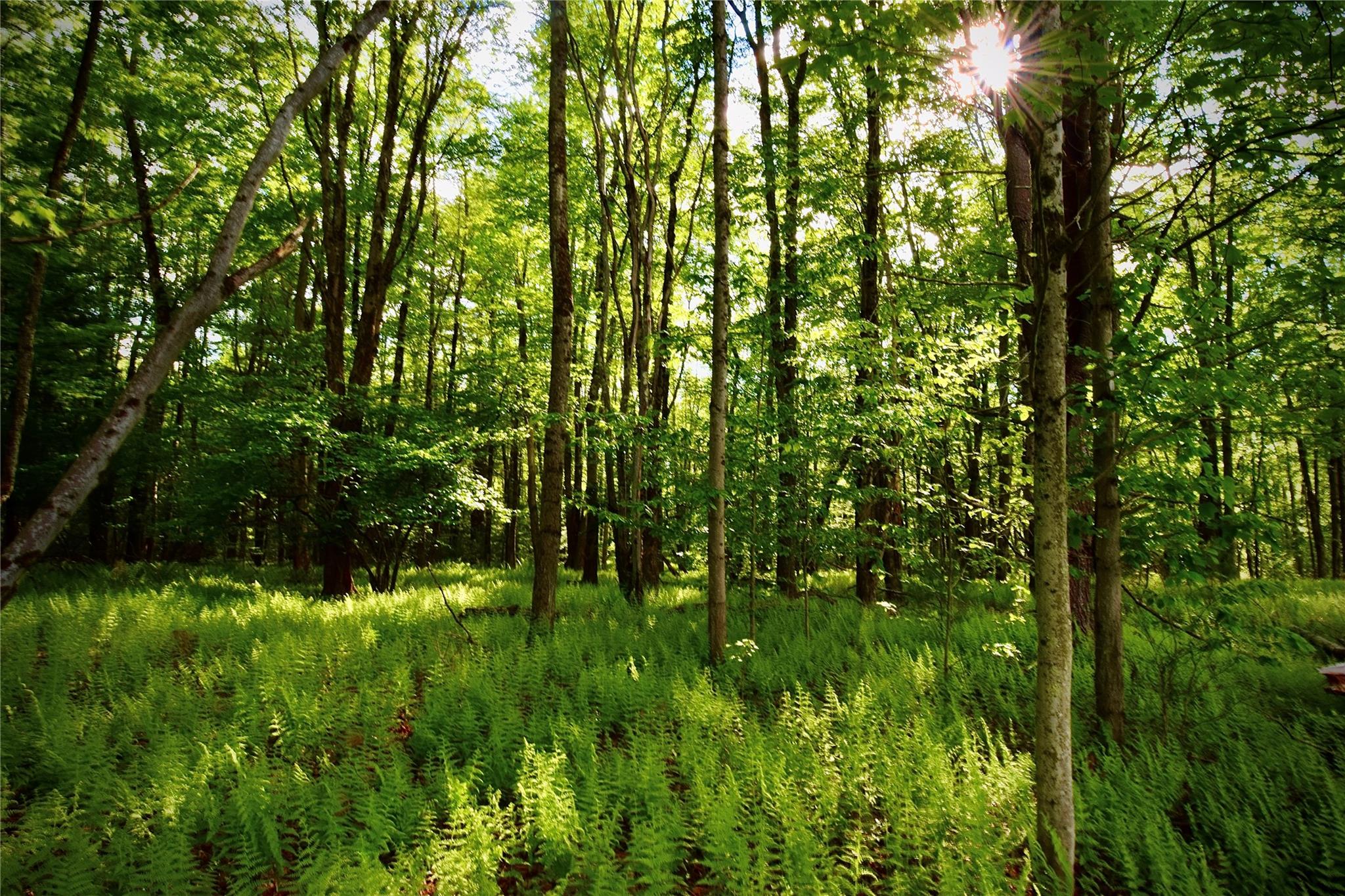 Rt. 52, Ellenville, NY 12489