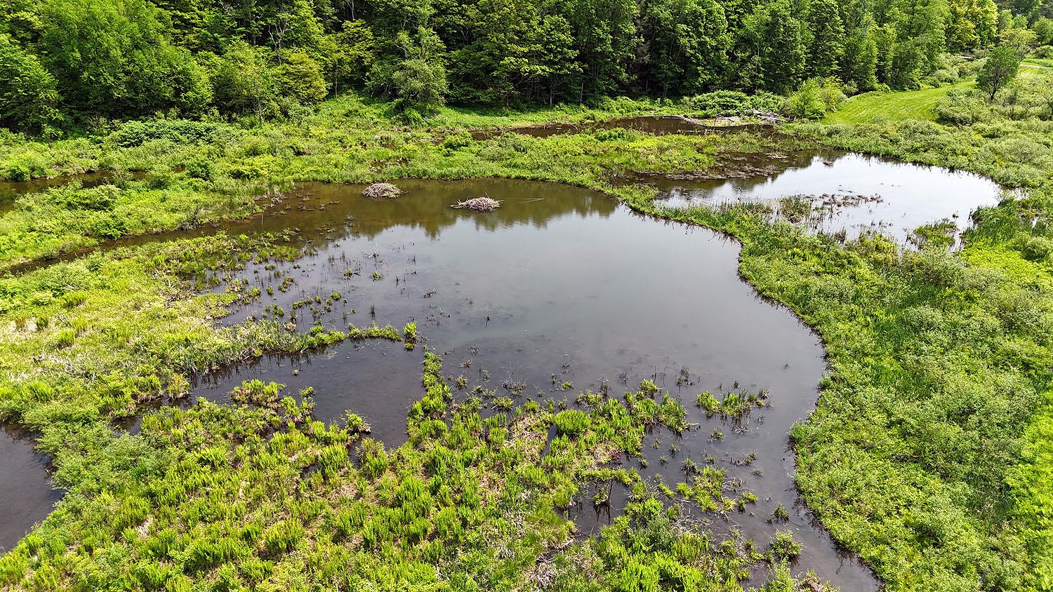 9003 County Hwy 28, Long Eddy, NY 12760