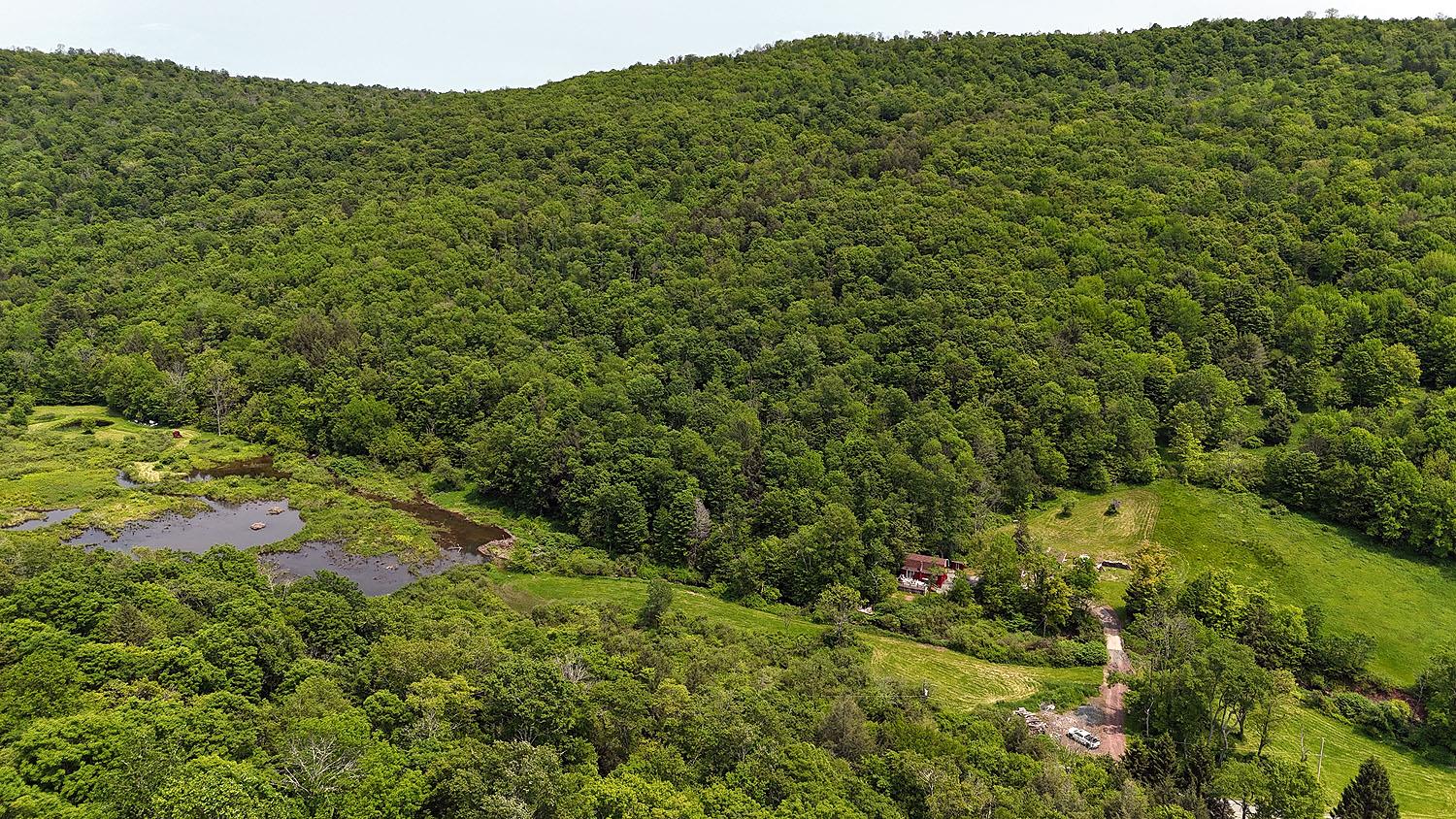 9003 County Hwy 28, Long Eddy, NY 12760