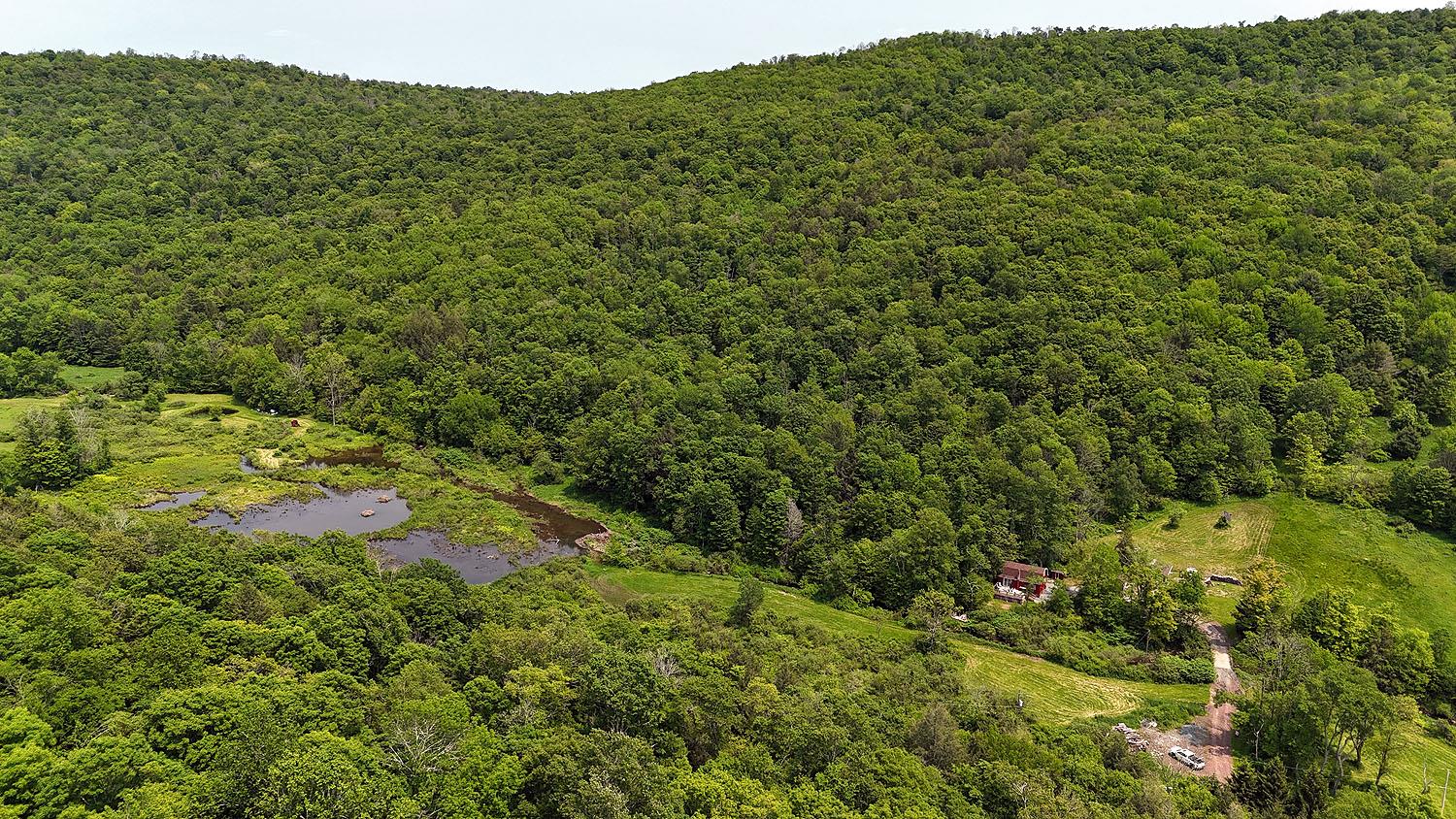 9003 County Hwy 28, Long Eddy, NY 12760