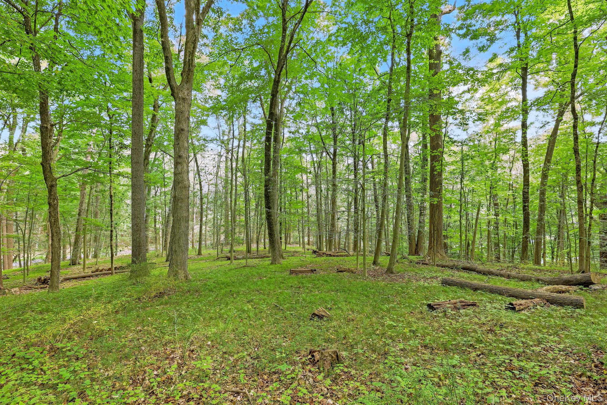 7 Vincent Lane, Armonk, NY 10504