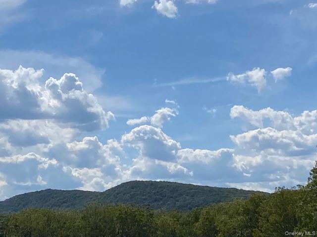 466 Wheeler Road, Florida, NY 10921