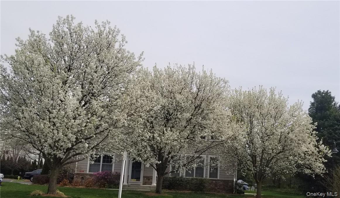 1200 Half Moon Bay Drive, Croton-on-Hudson, NY 10520