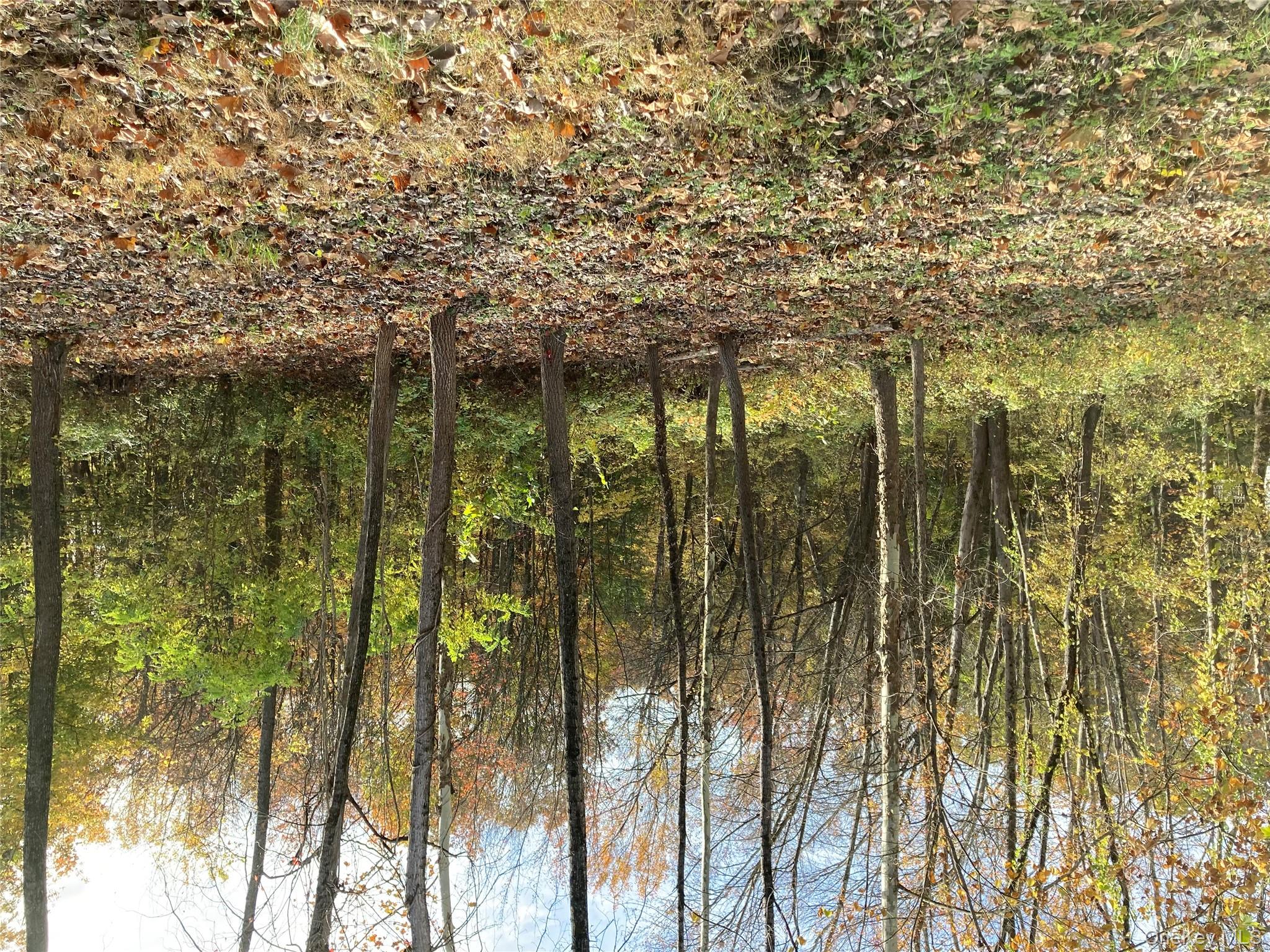 30 Luty Drive, Hyde Park, NY