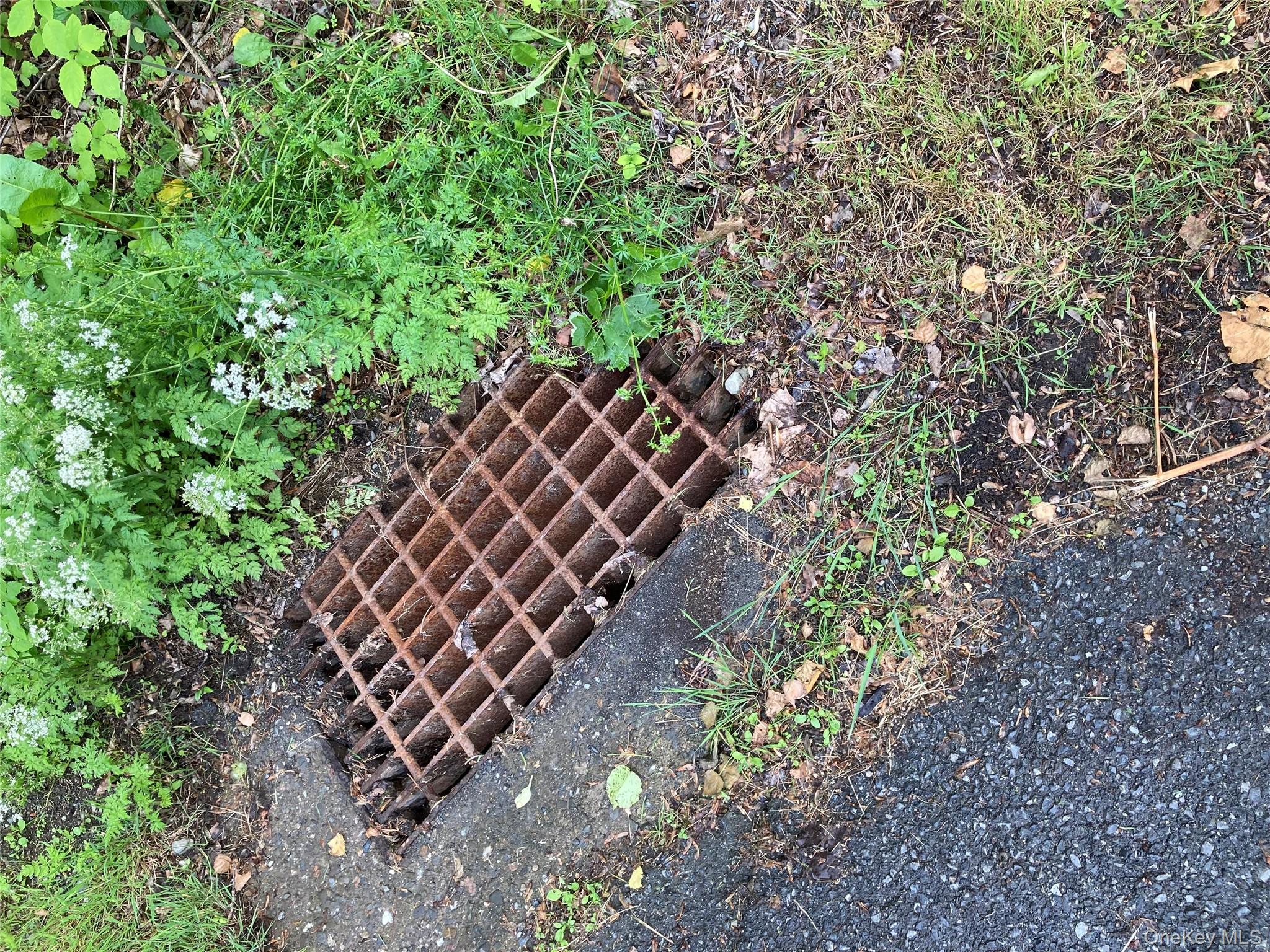 30 Luty Drive, Hyde Park, NY