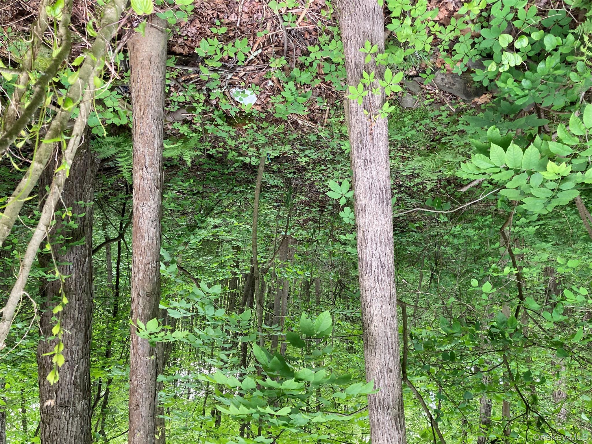 30 Luty Drive, Hyde Park, NY