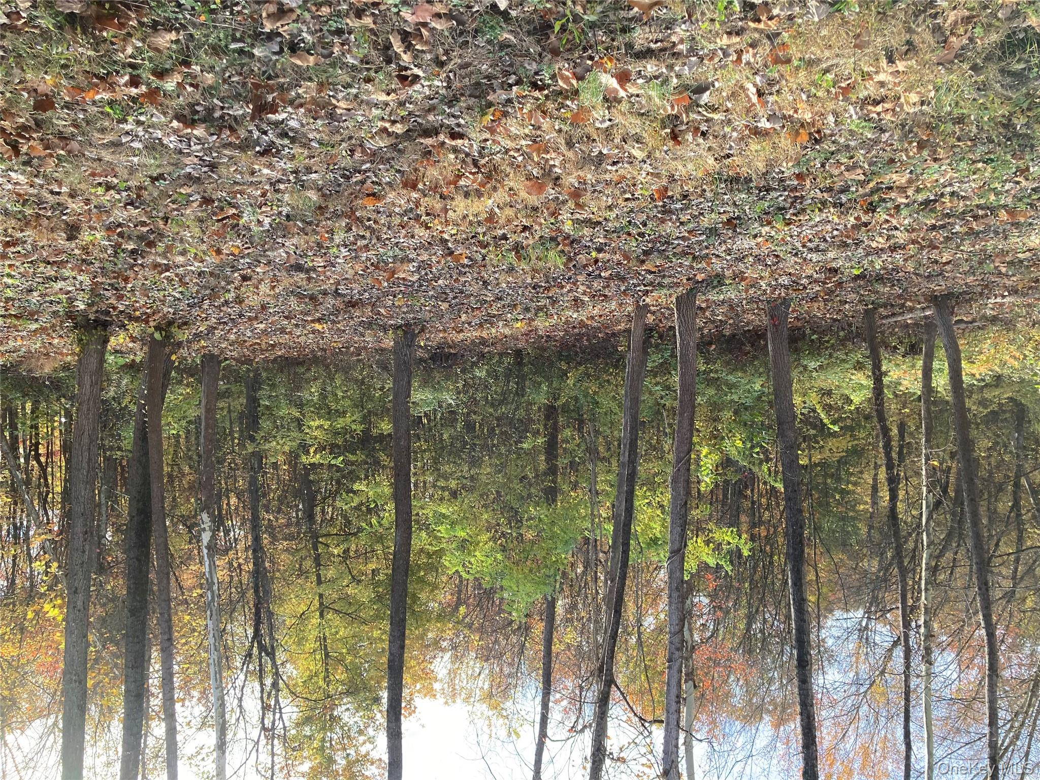 30 Luty Drive, Hyde Park, NY