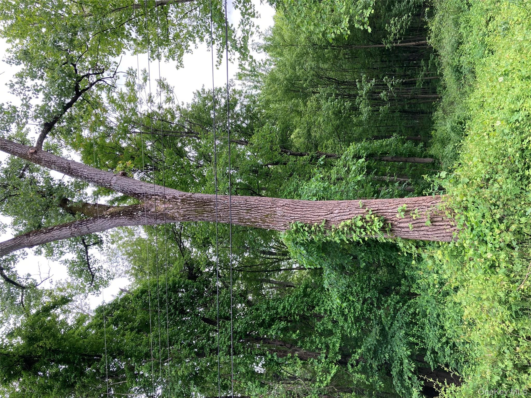 30 Luty Drive, Hyde Park, NY