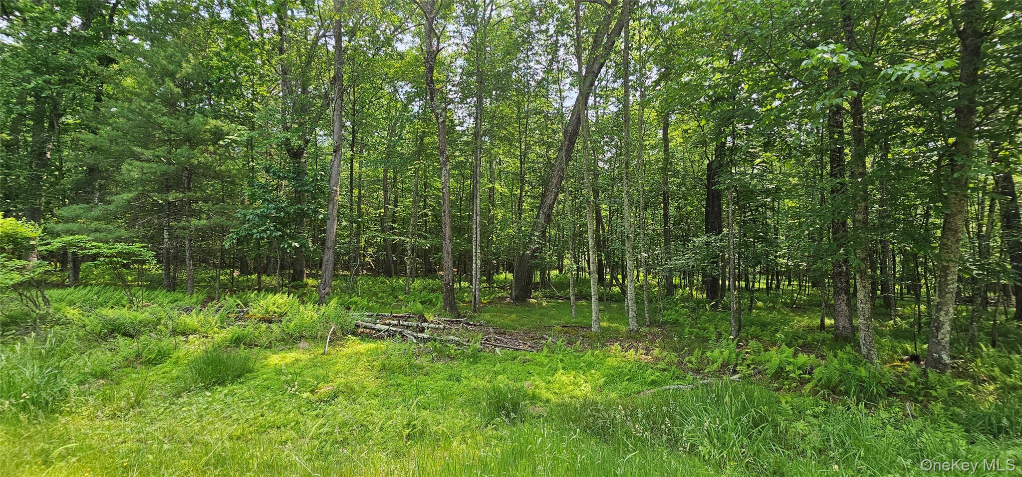 Lot 3 Woods Road, Barryville, NY 12719