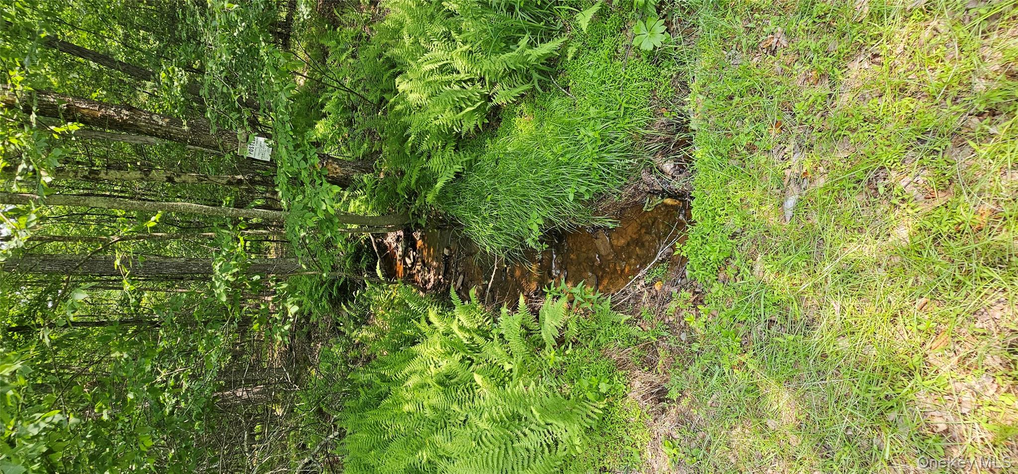 Lot 3 Woods Road, Barryville, NY 12719