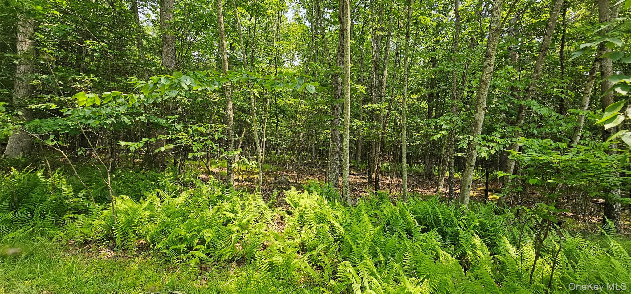 Lot 3 Woods Road, Barryville, NY 12719