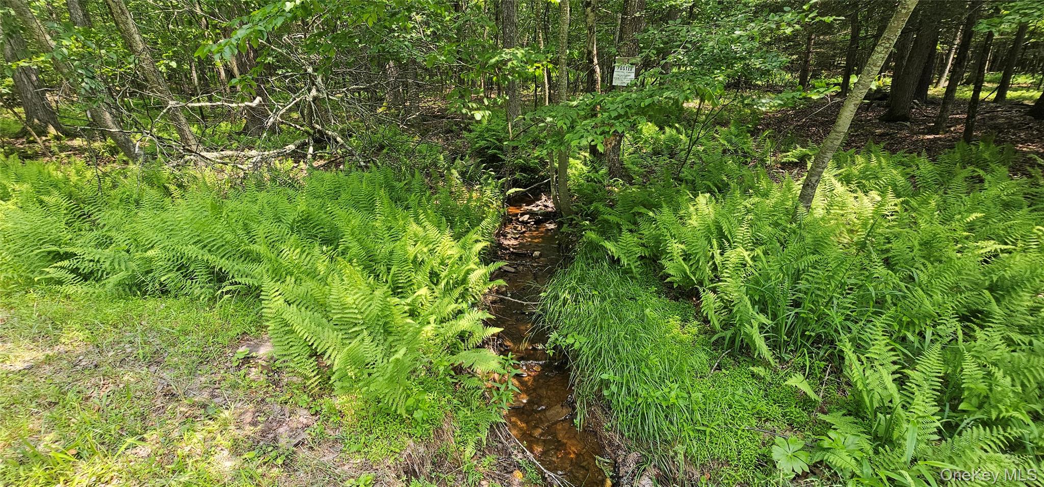 Lot 3 Woods Road, Barryville, NY 12719