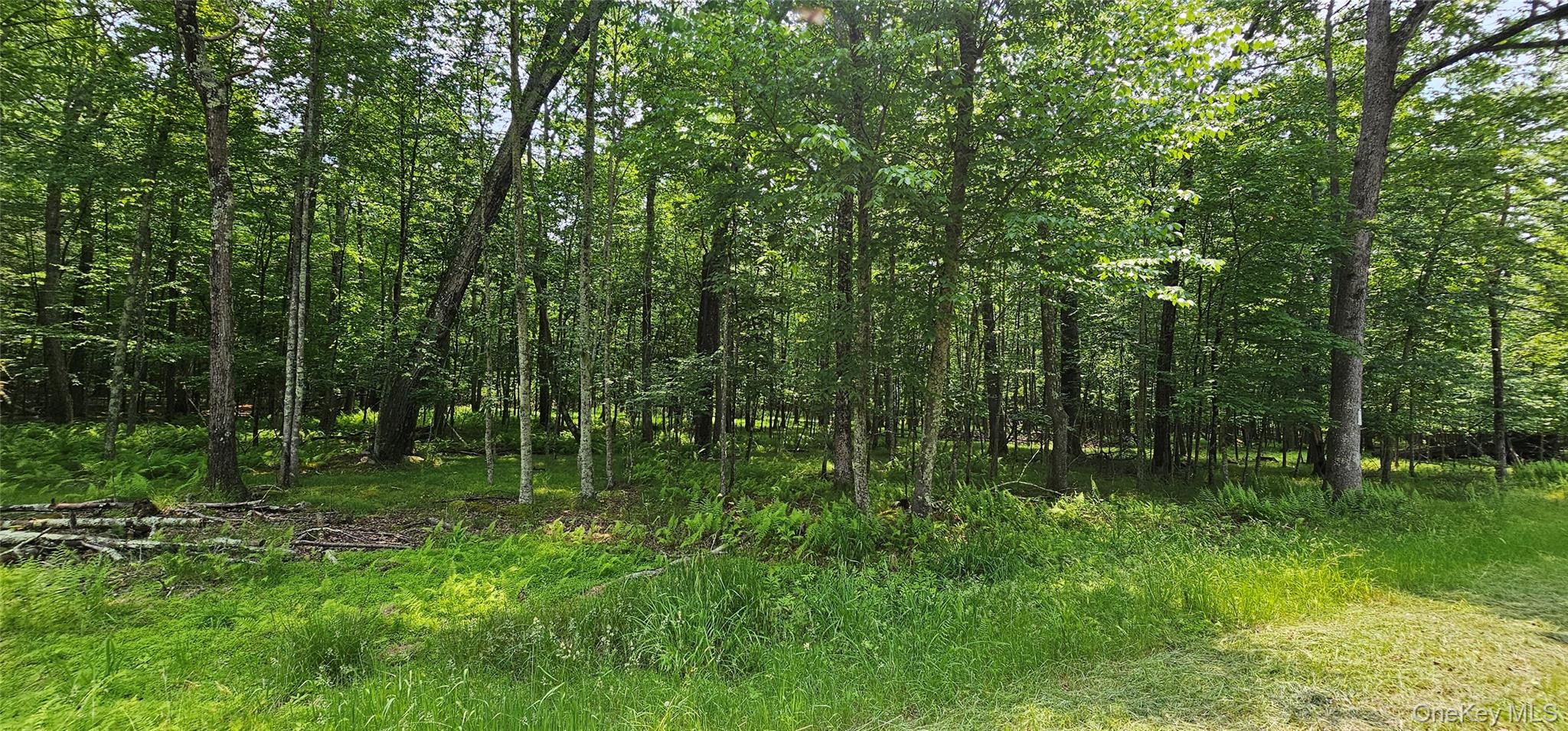Lot 3 Woods Road, Barryville, NY 12719