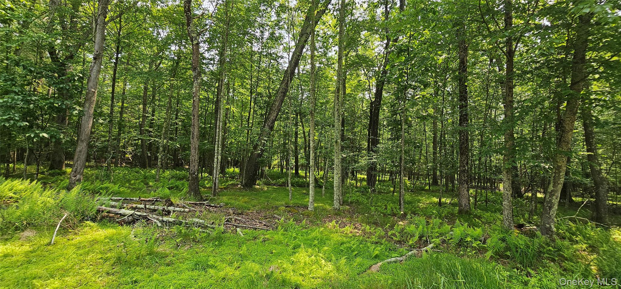 Lot 3 Woods Road, Barryville, NY 12719