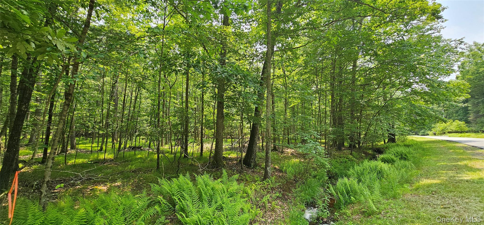 Lot 3 Woods Road, Barryville, NY 12719