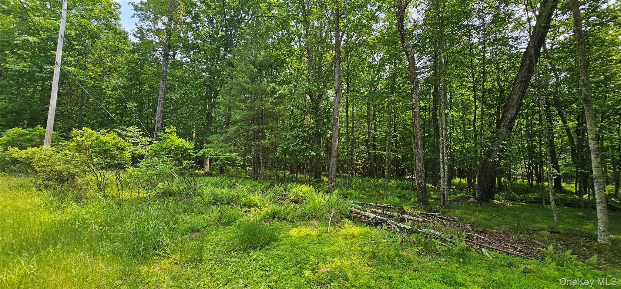 Lot 3 Woods Road, Barryville, NY 12719