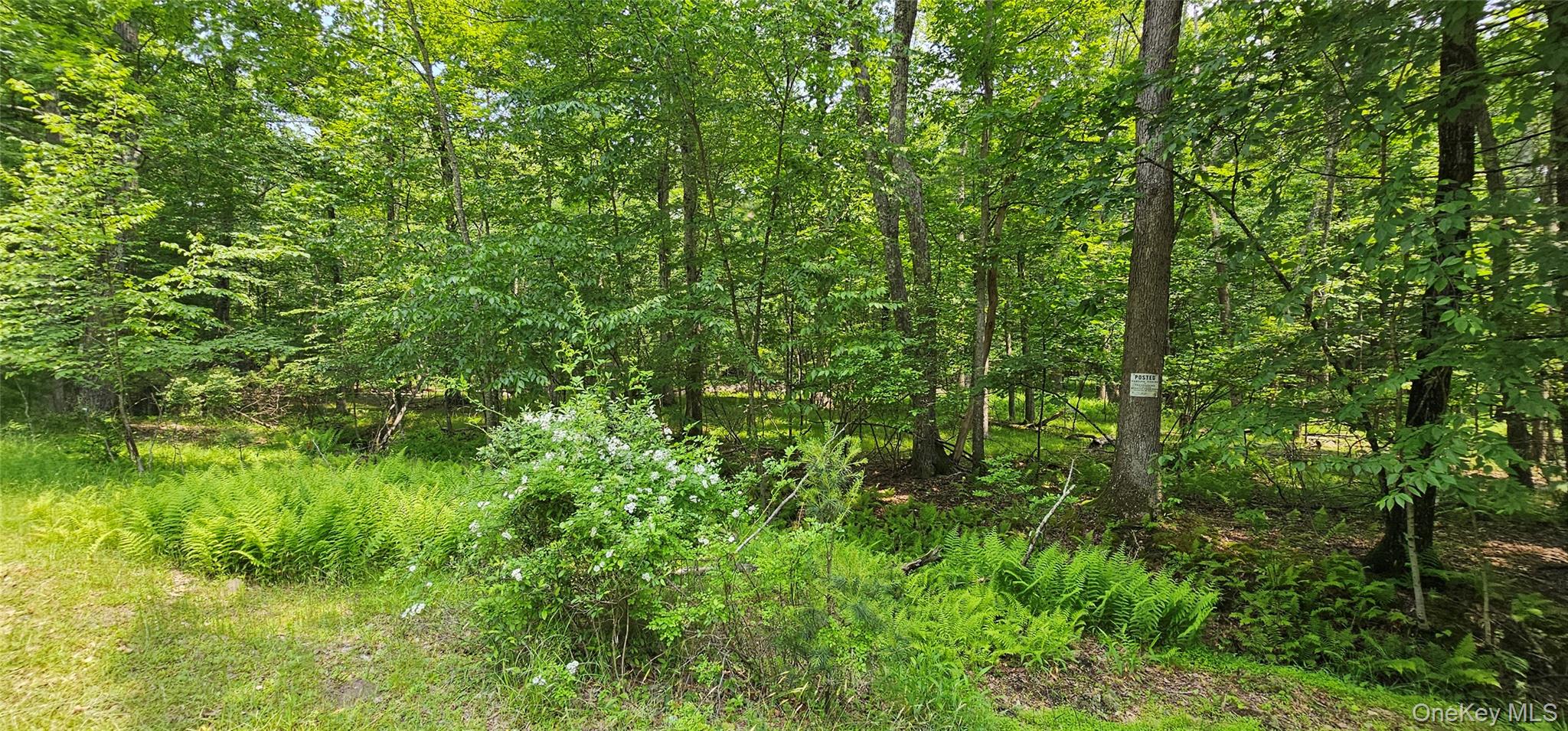 Lot 3 Woods Road, Barryville, NY 12719
