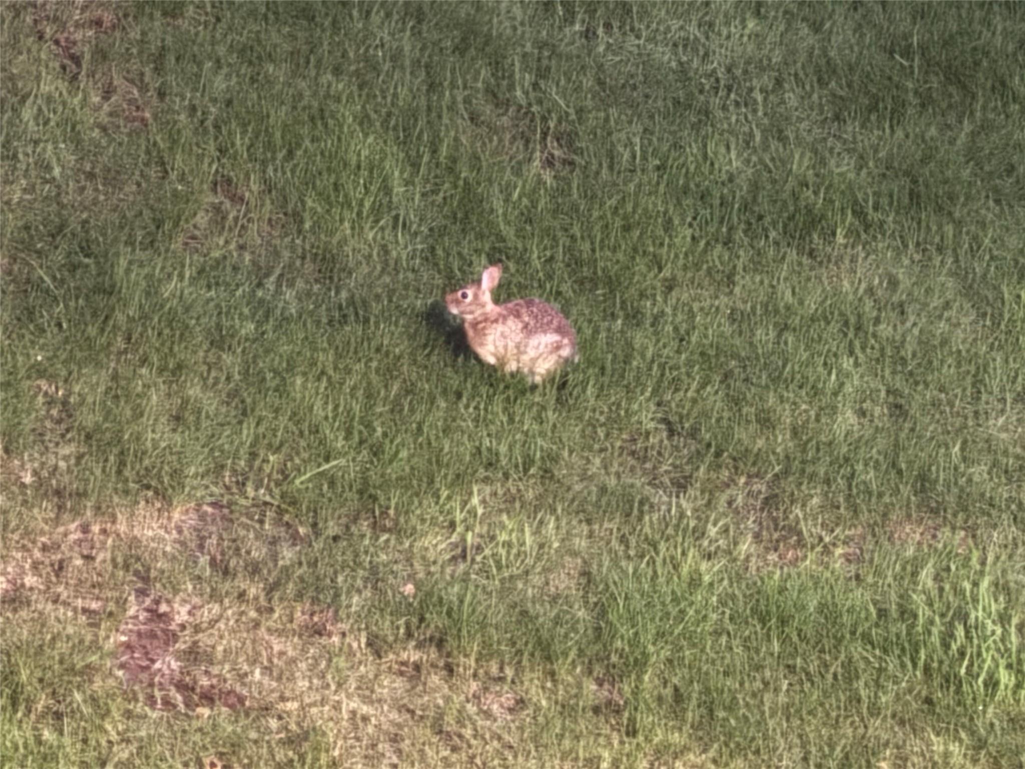 98 DeHaven Drive # 1F, Yonkers, NY 10703