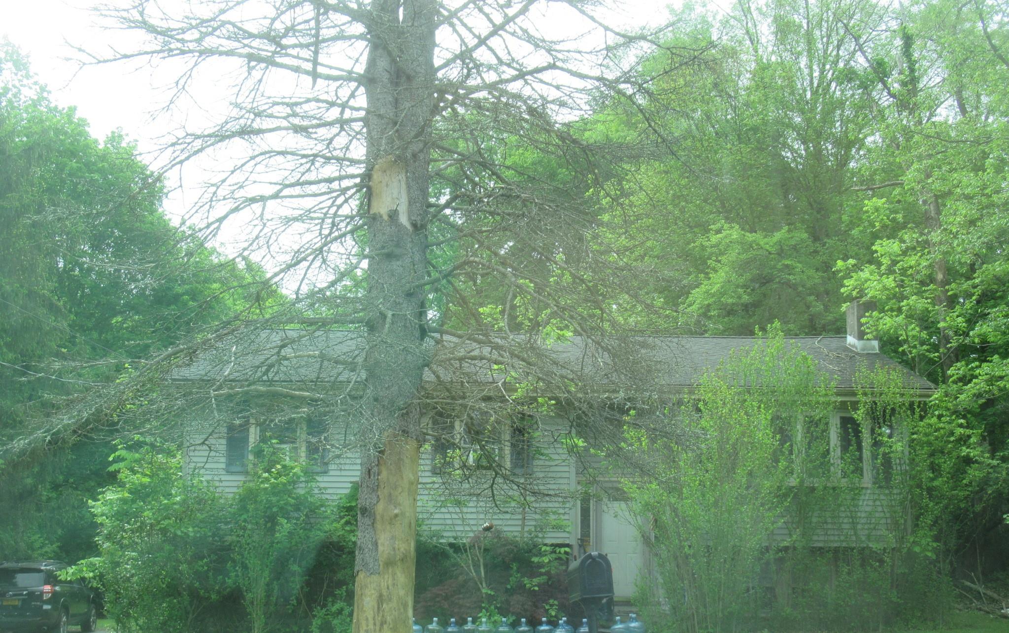 246 Skyline Drive, Highland Mills, NY 10930