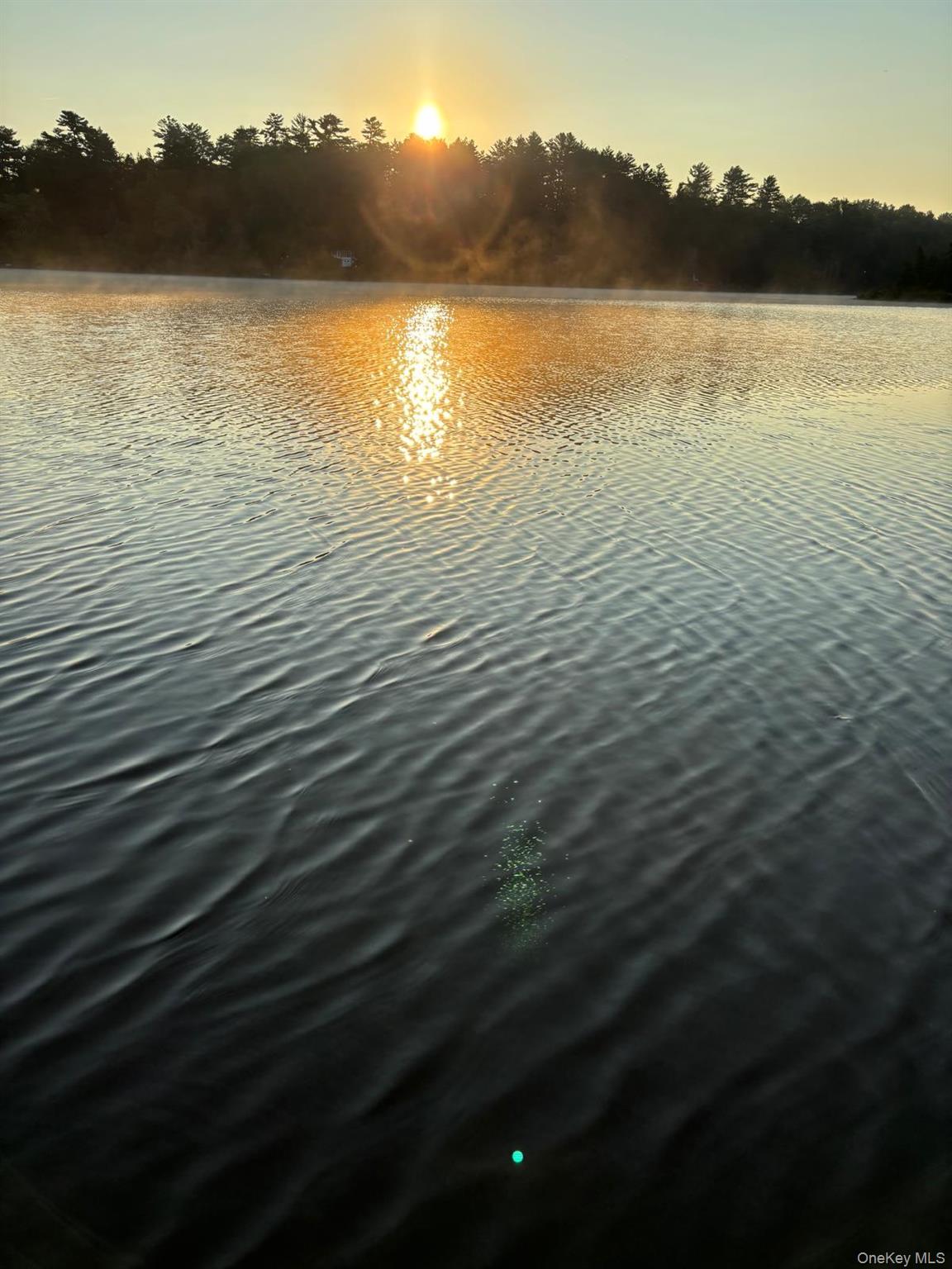 Starlight buildable lot/land Road, White Lake, NY