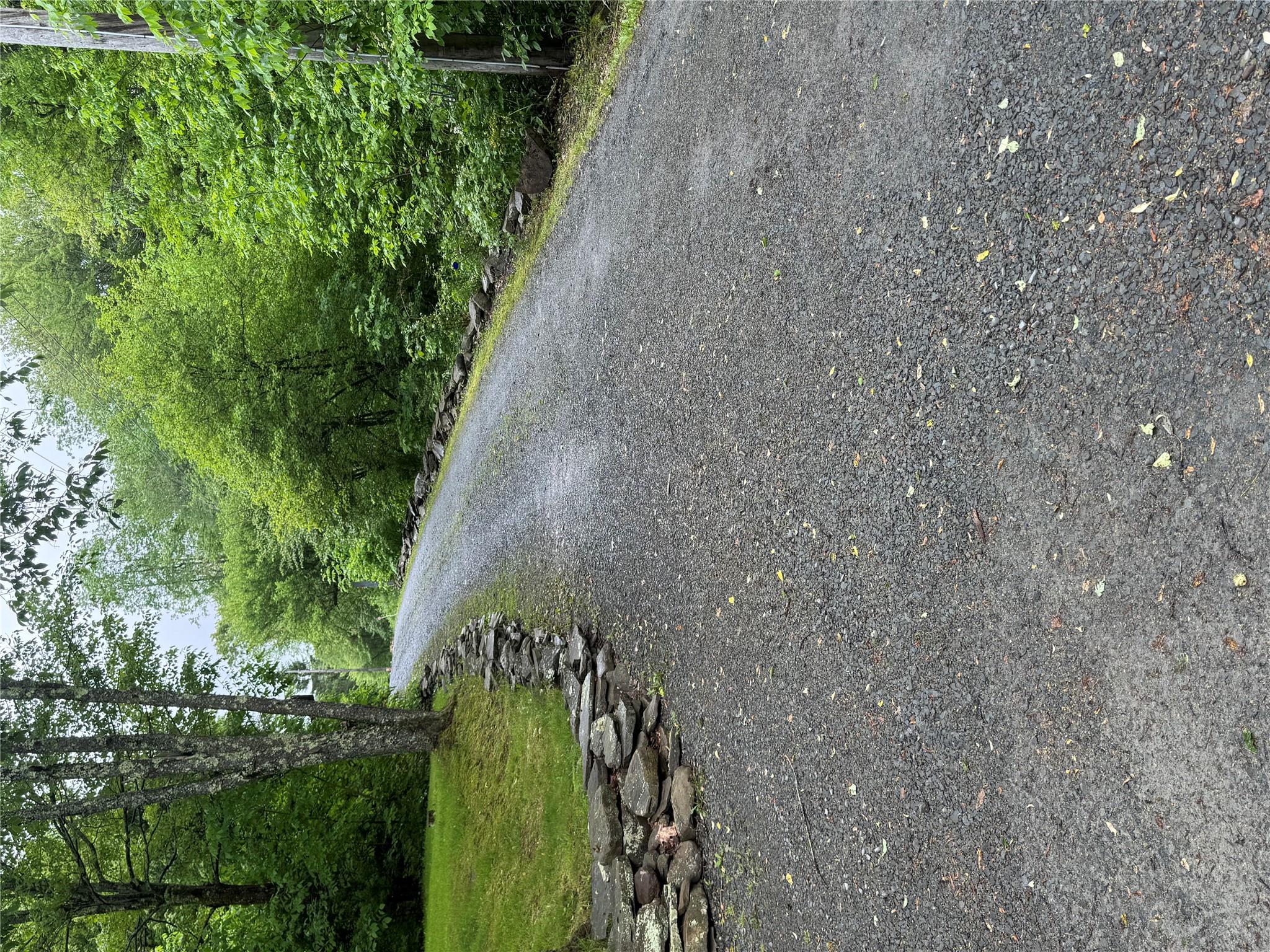 185 Wedemeyer Road, Downsville, NY 13755