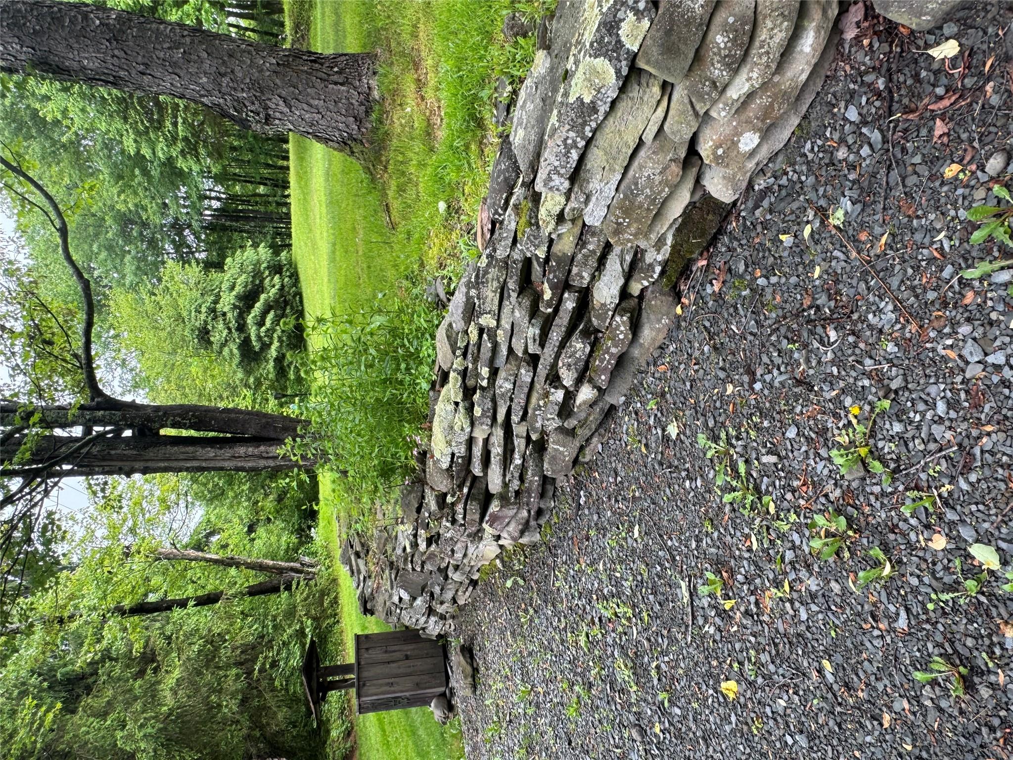 185 Wedemeyer Road, Downsville, NY 13755