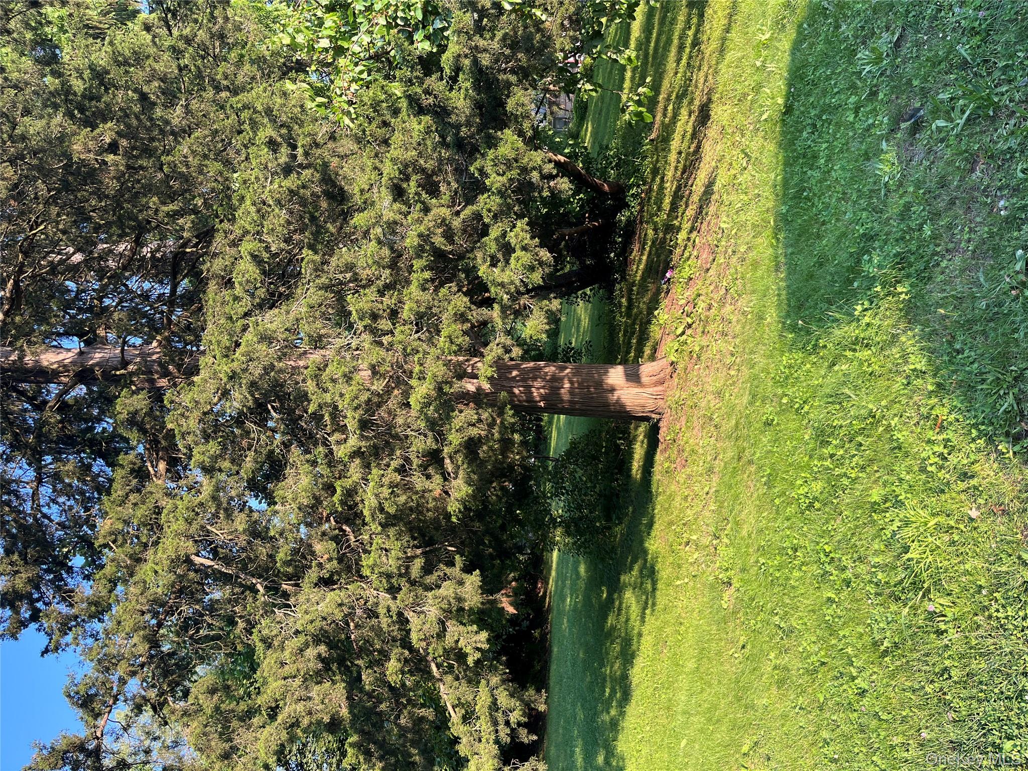 1305 Main, Peekskill, NY 10566