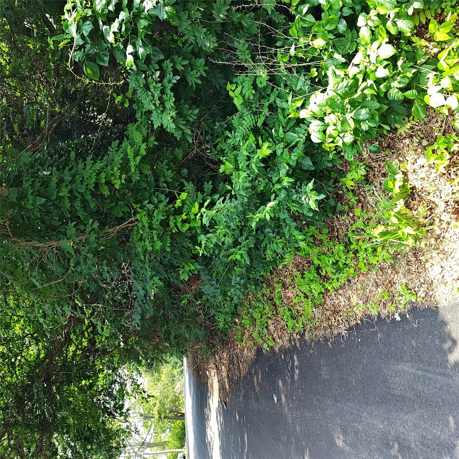 105 Gray Avenue, Medford, NY 11763