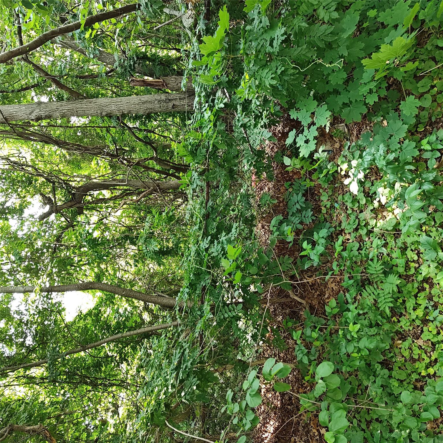 105 Gray Avenue, Medford, NY 11763