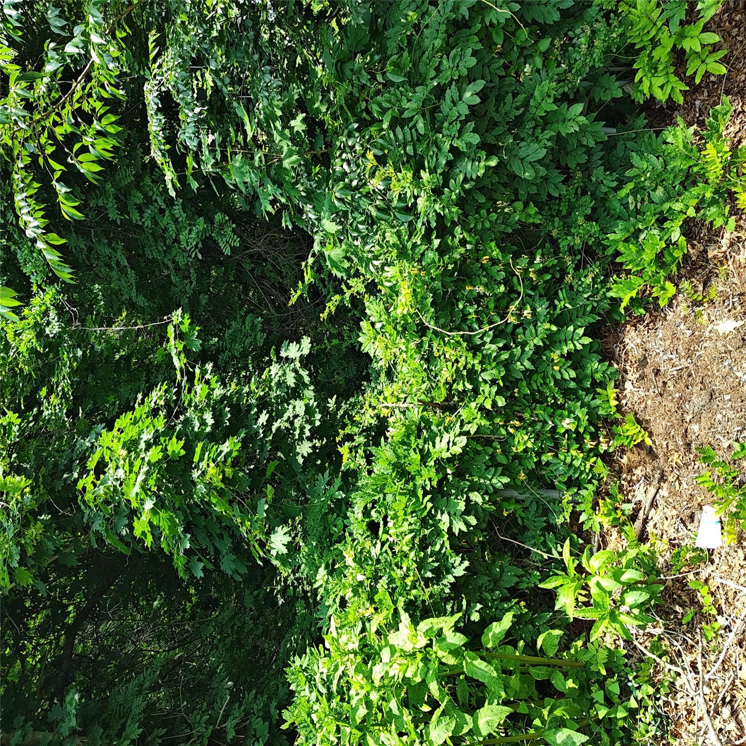 105 Gray Avenue, Medford, NY 11763