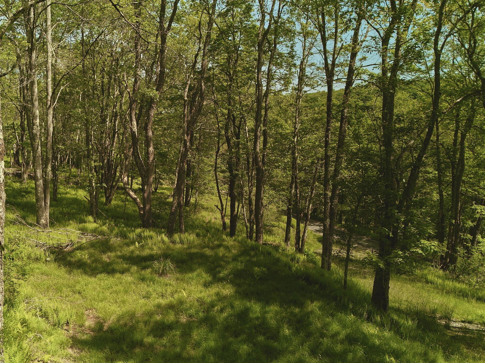 00 Benton Hollow, Liberty, NY 12754