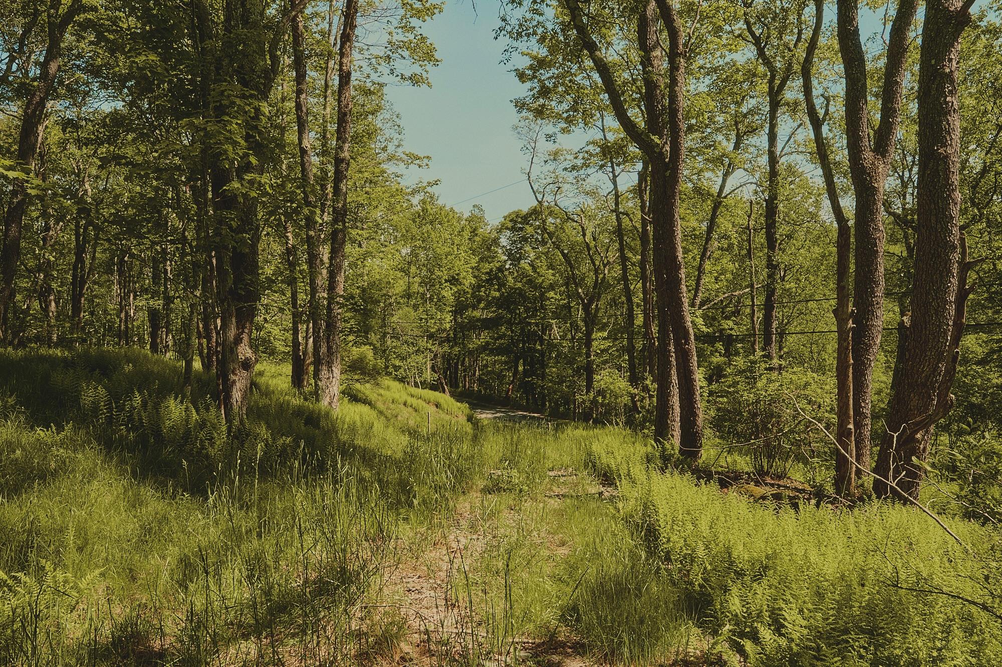 00 Benton Hollow, Liberty, NY 12754