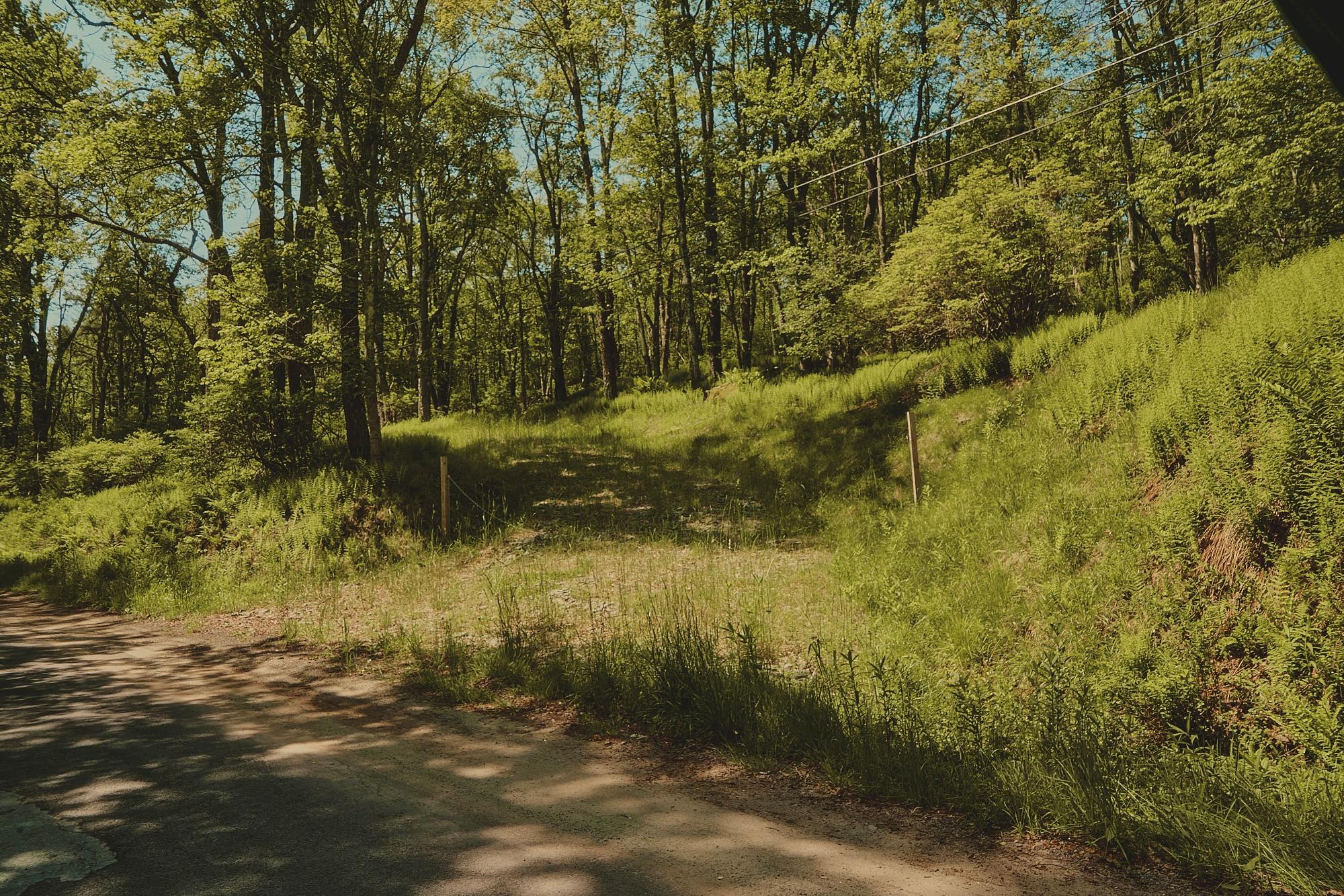 00 Benton Hollow, Liberty, NY 12754