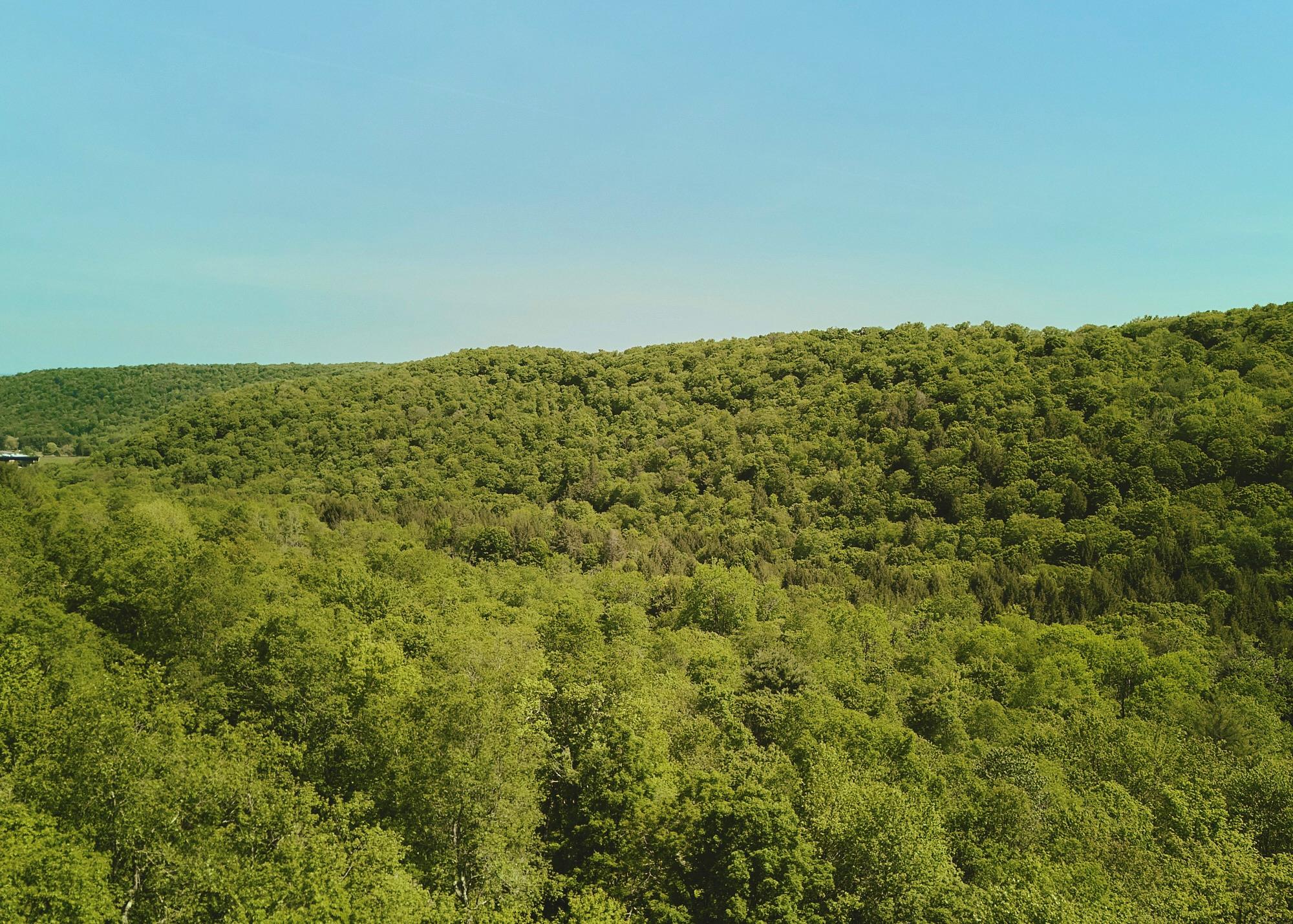 00 Benton Hollow, Liberty, NY 12754