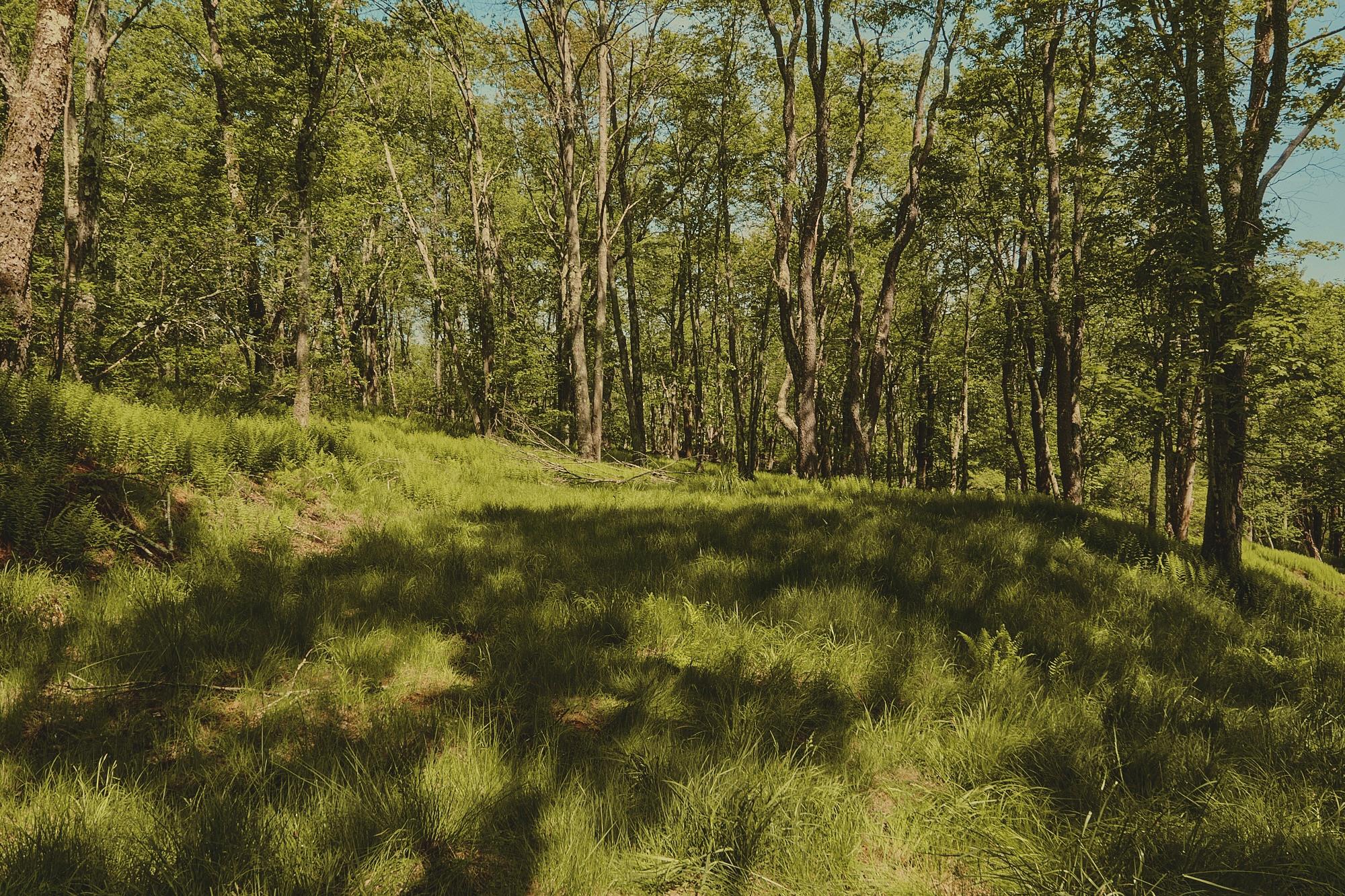 00 Benton Hollow, Liberty, NY 12754