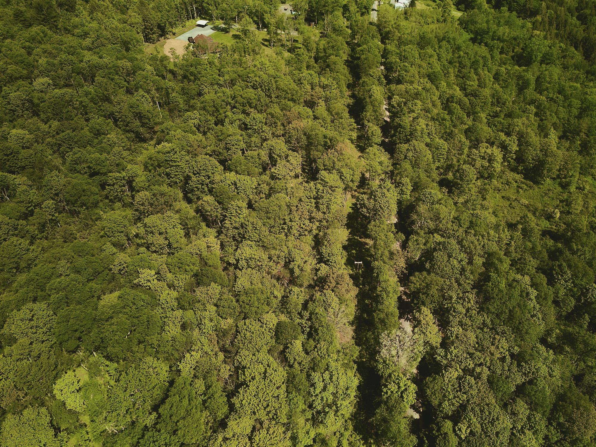 00 Benton Hollow, Liberty, NY 12754