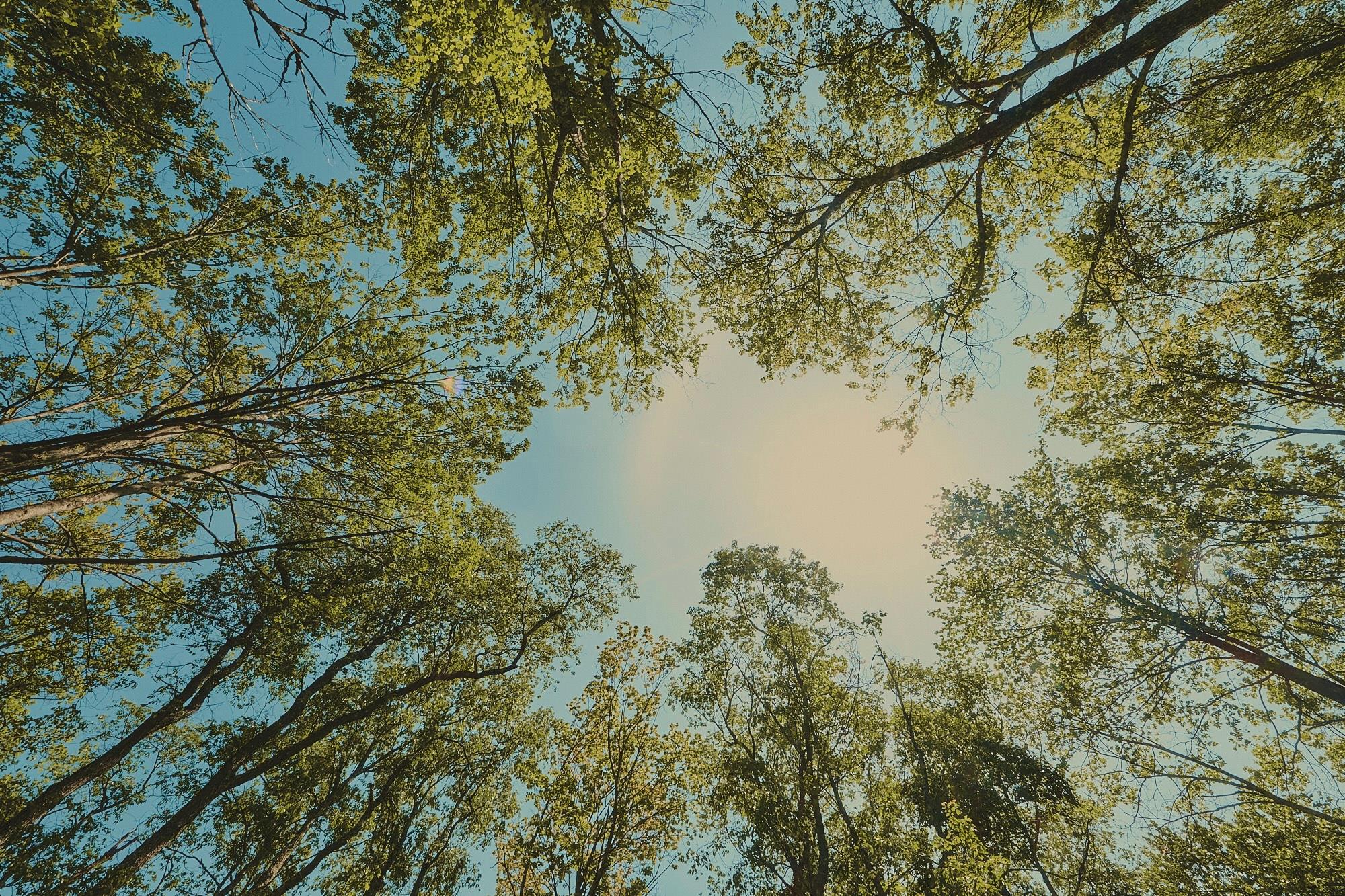 00 Benton Hollow, Liberty, NY 12754