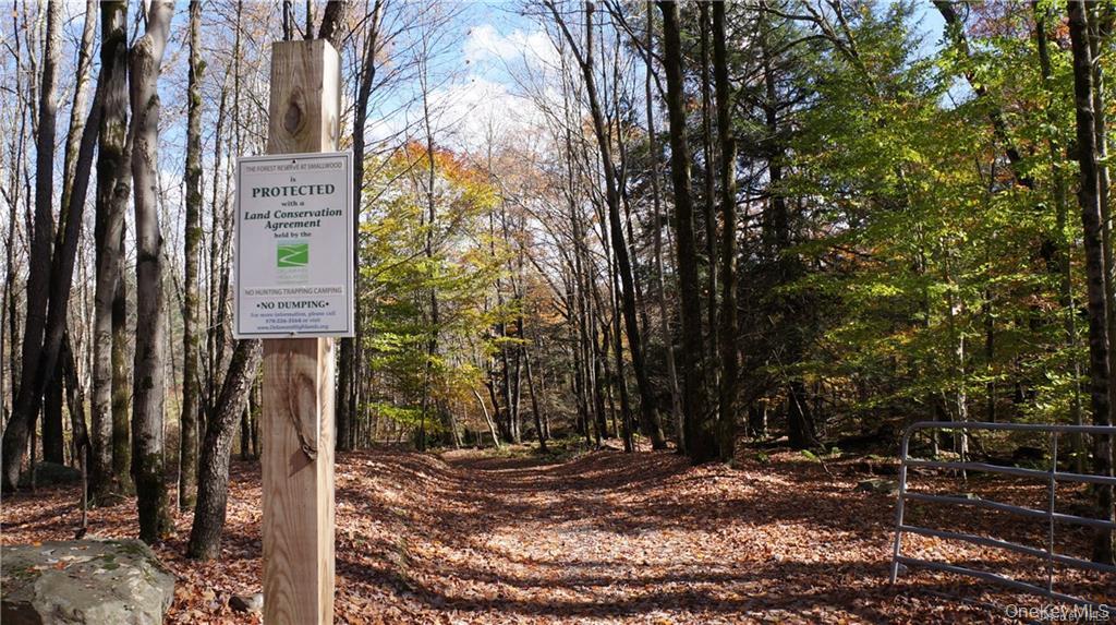47 E Catskill Trail, Smallwood, NY 12778