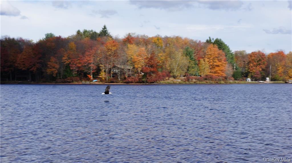 47 E Catskill Trail, Smallwood, NY 12778