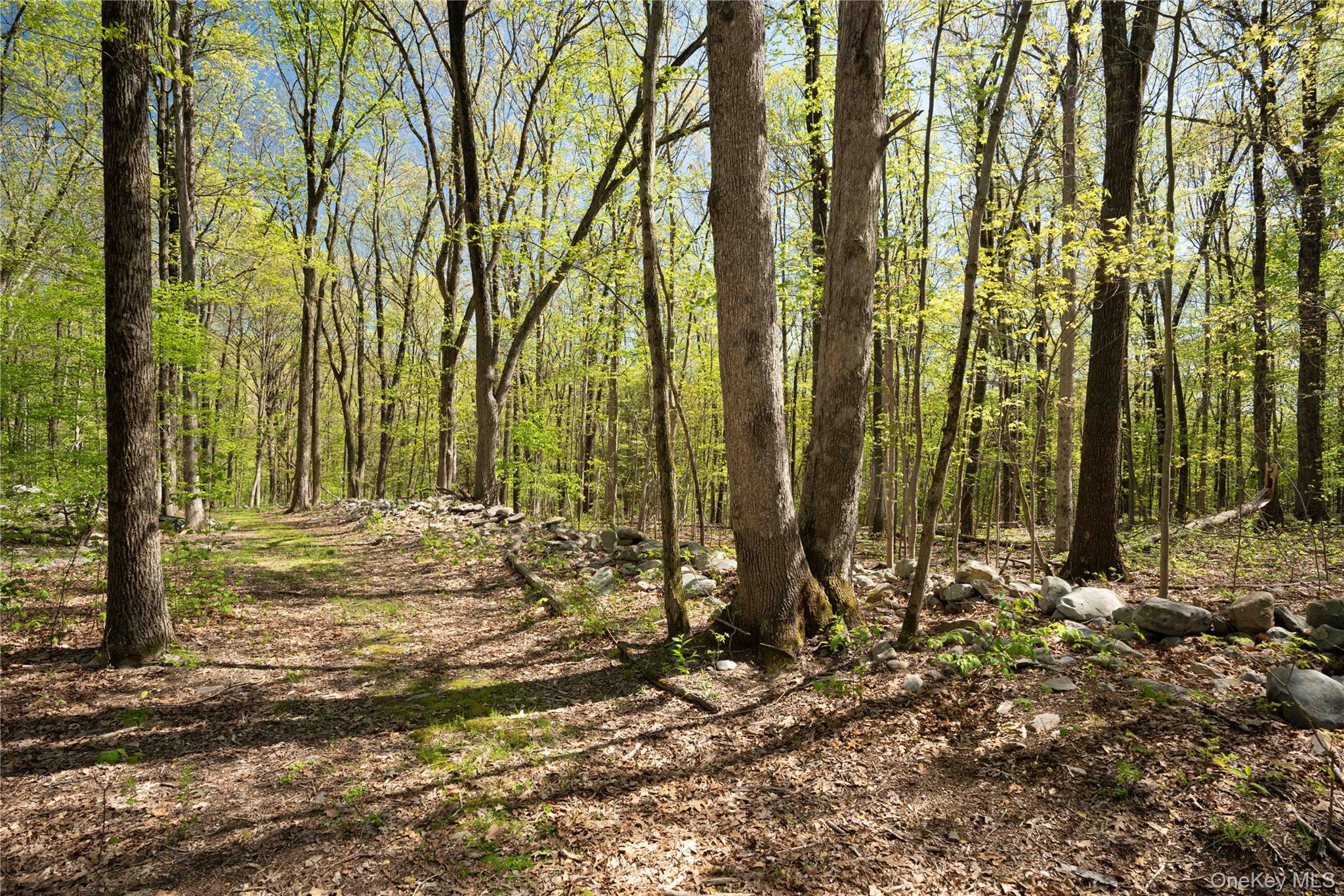 15 Cox Drive, Warwick, NY 10950