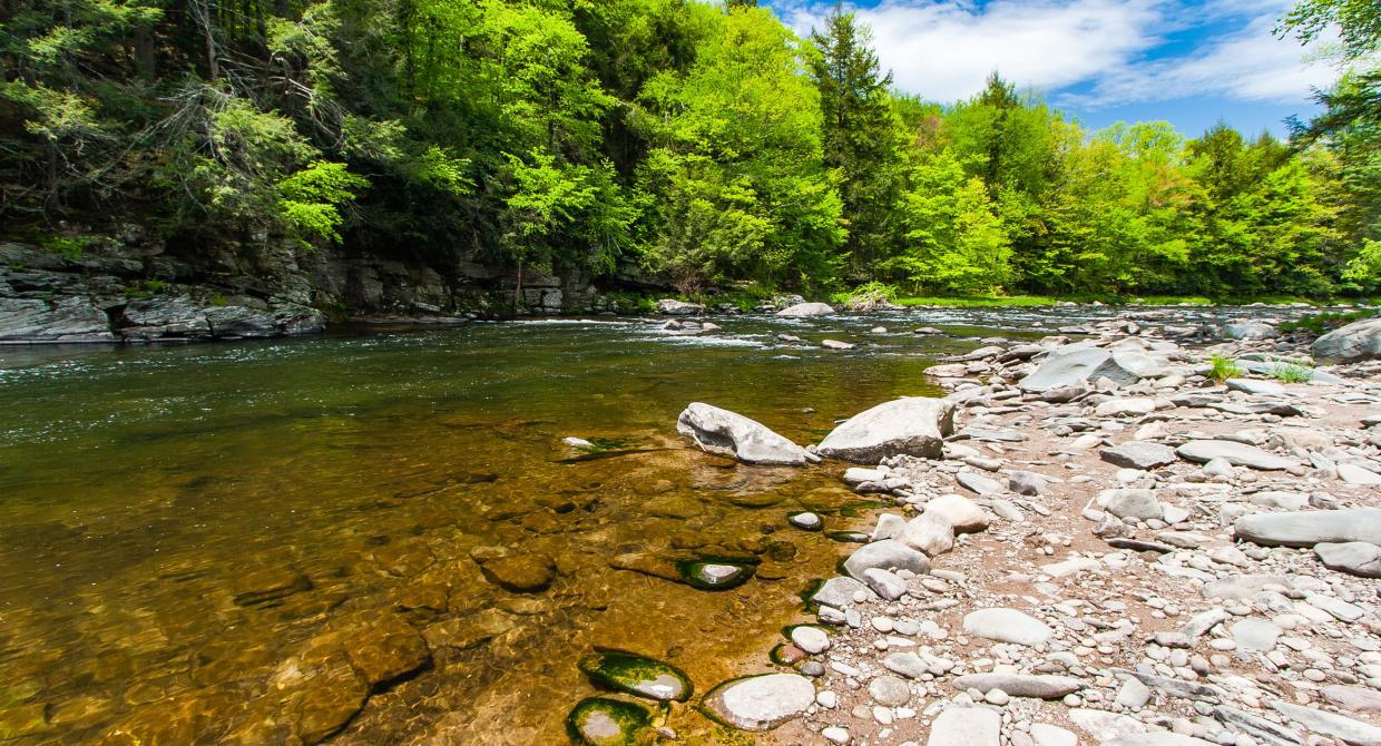 62 Guymard Turnpike, Godeffroy, NY 12729