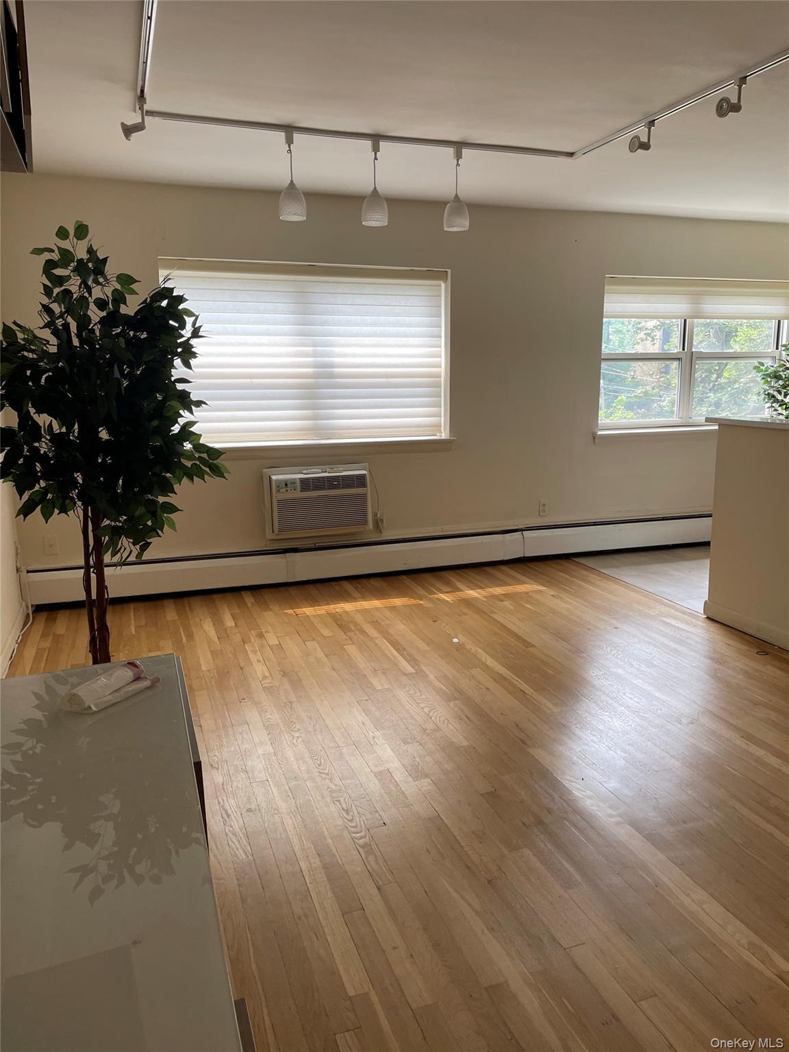 1 Wooleys Lane # 2B, Great Neck, NY 11023