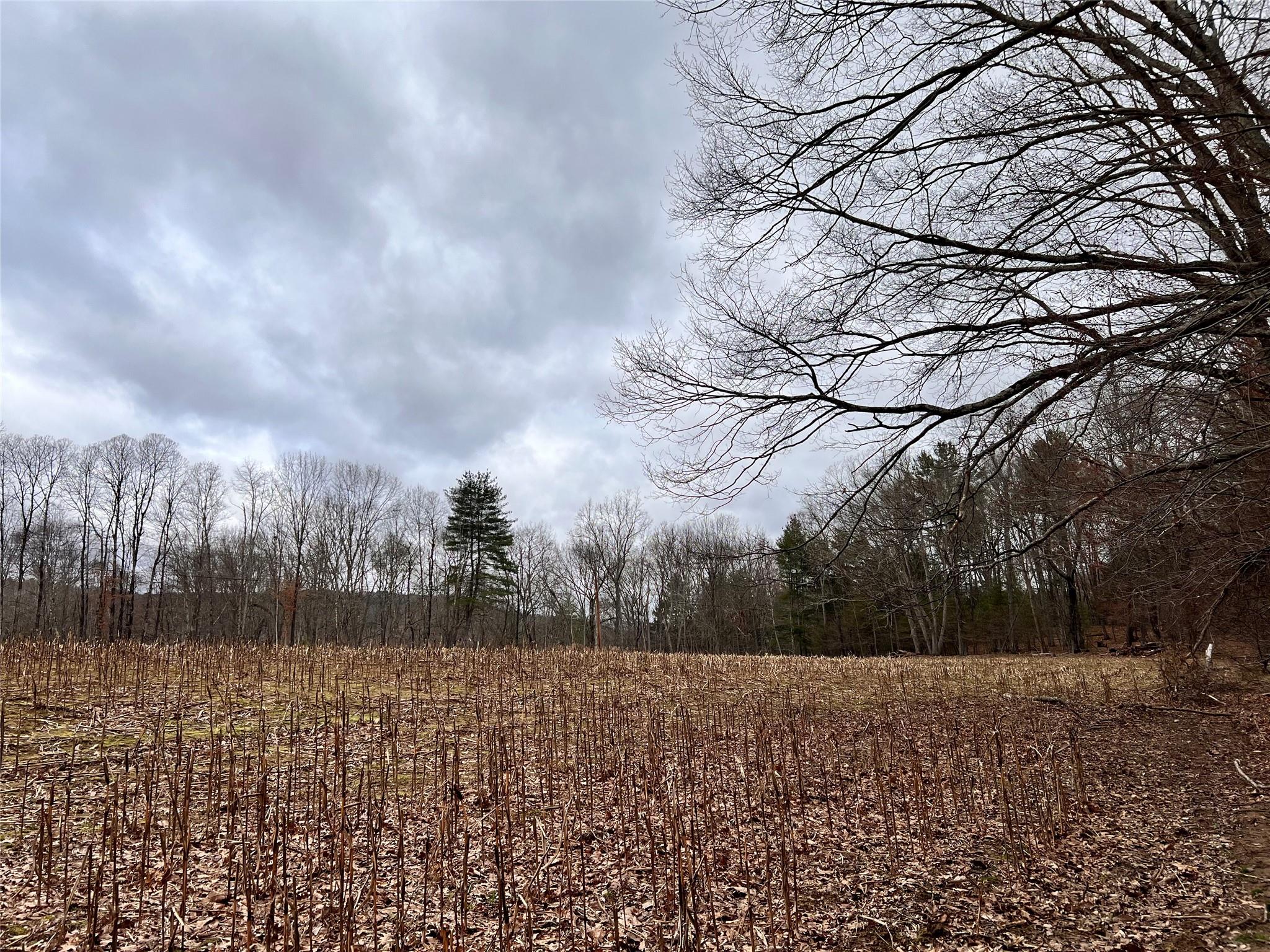 00 state route 97 Route, Cochecton, NY 12726