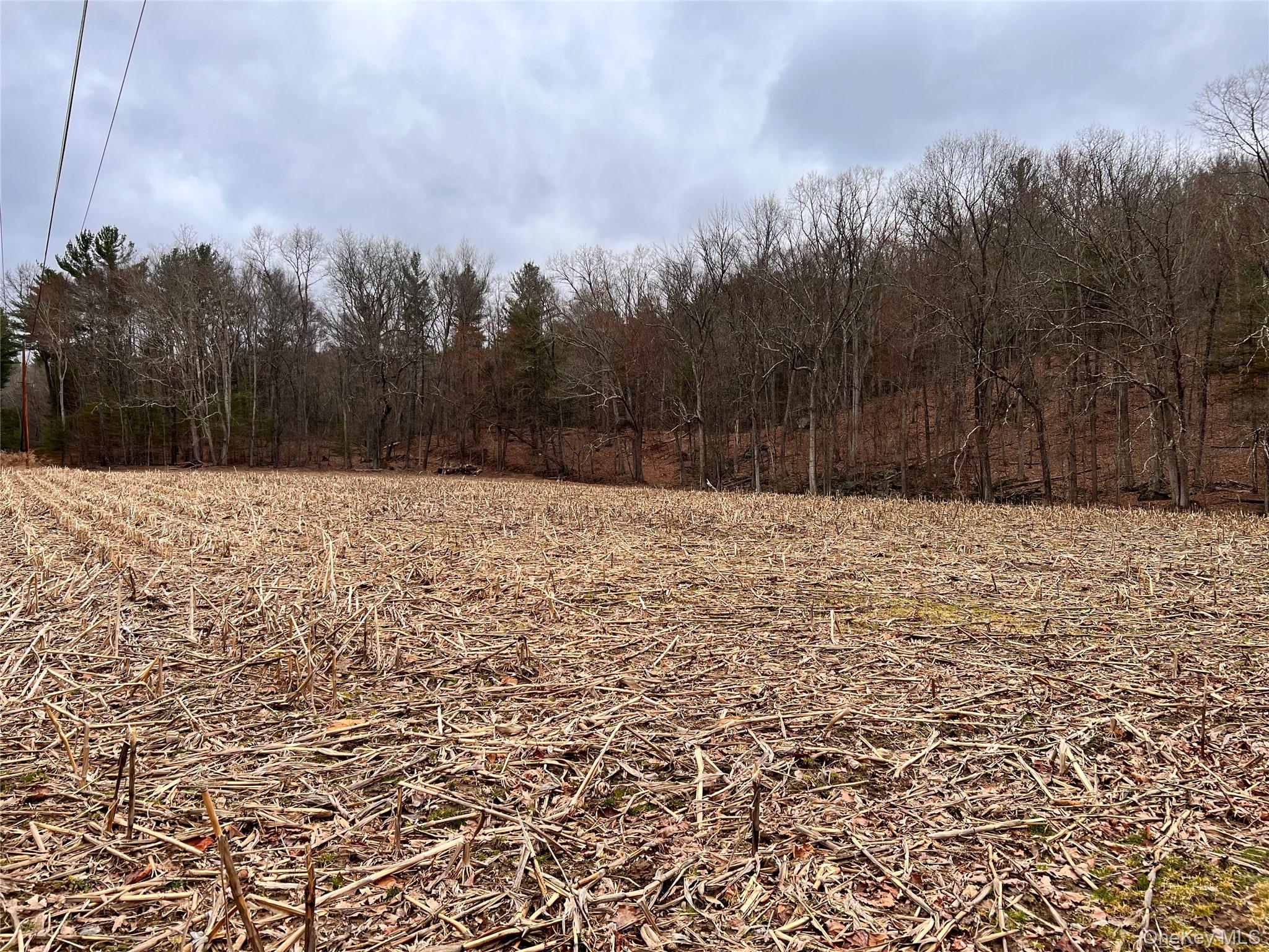 00 state route 97 Route, Cochecton, NY 12726