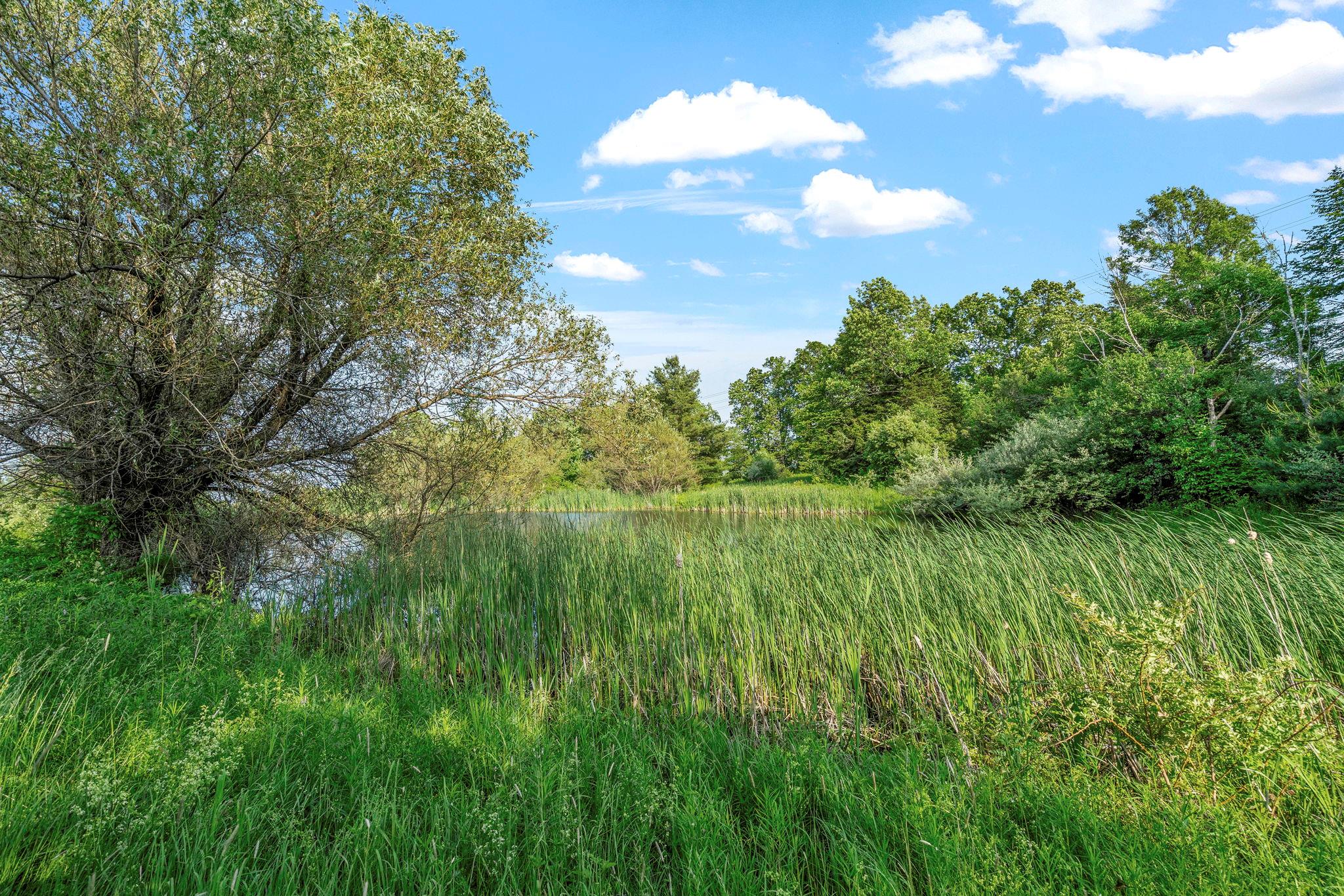 378 County Route 354, Preston Hollow, NY 12469