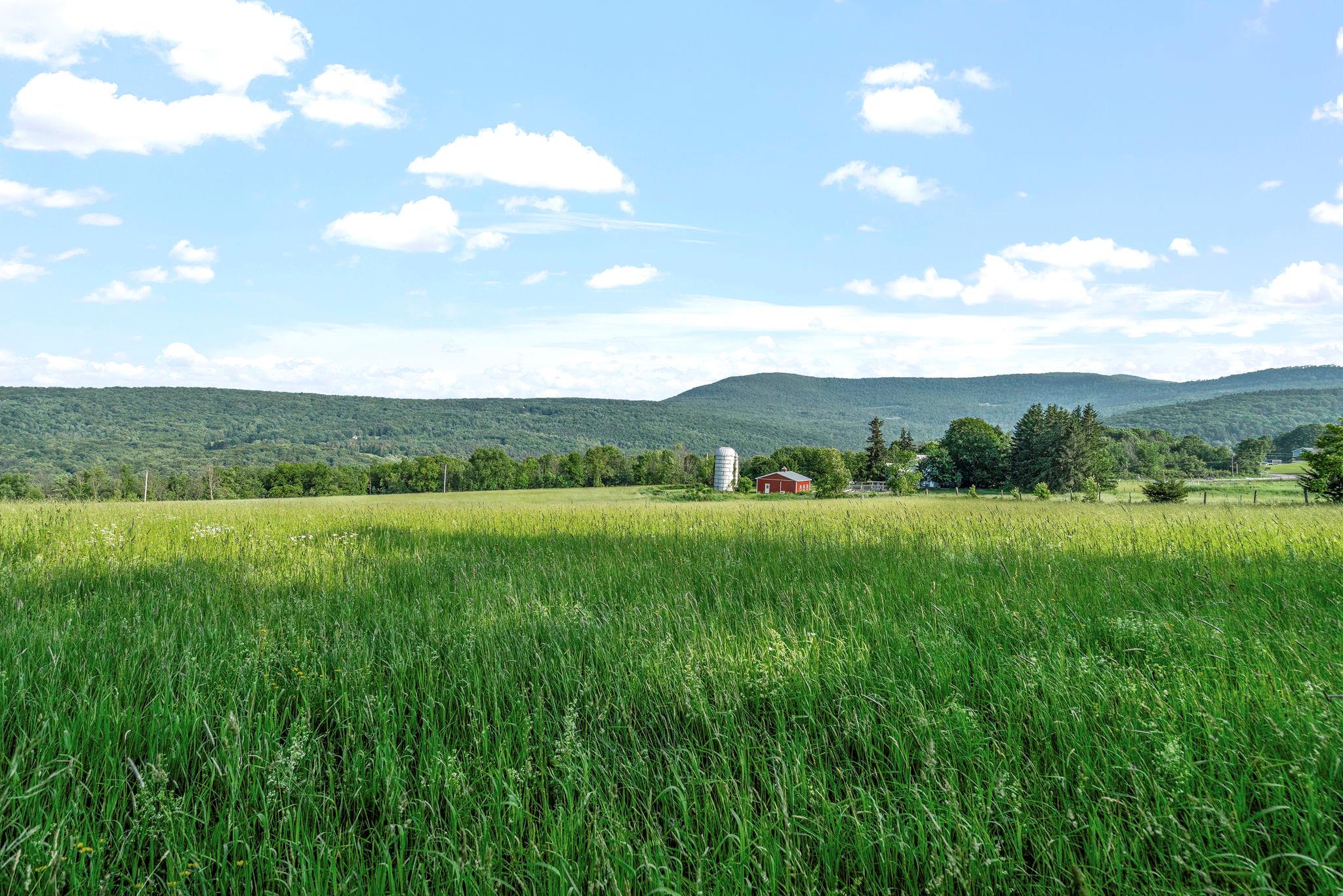 378 County Route 354, Preston Hollow, NY 12469