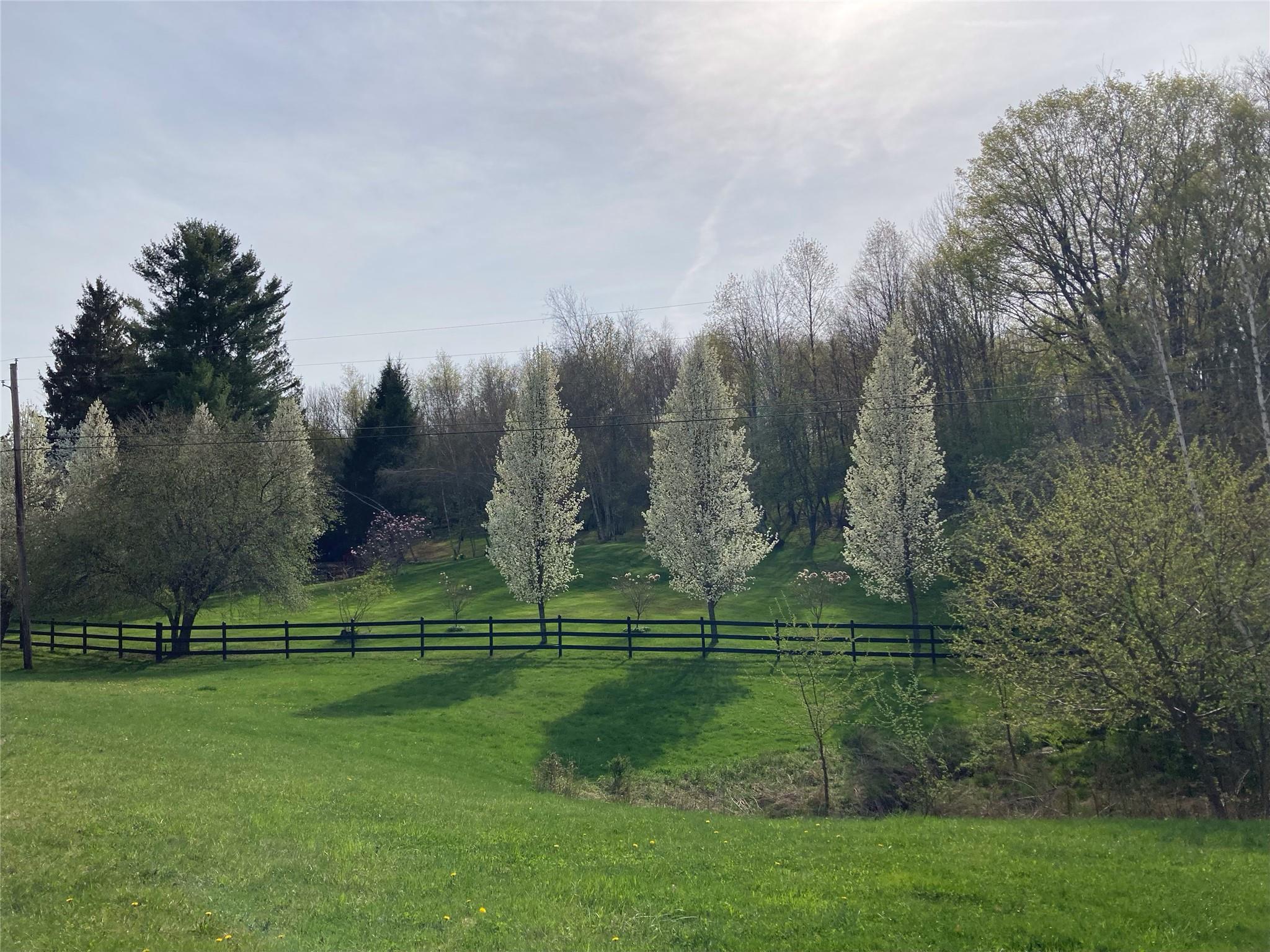 California Avenue, Liberty, NY 12754