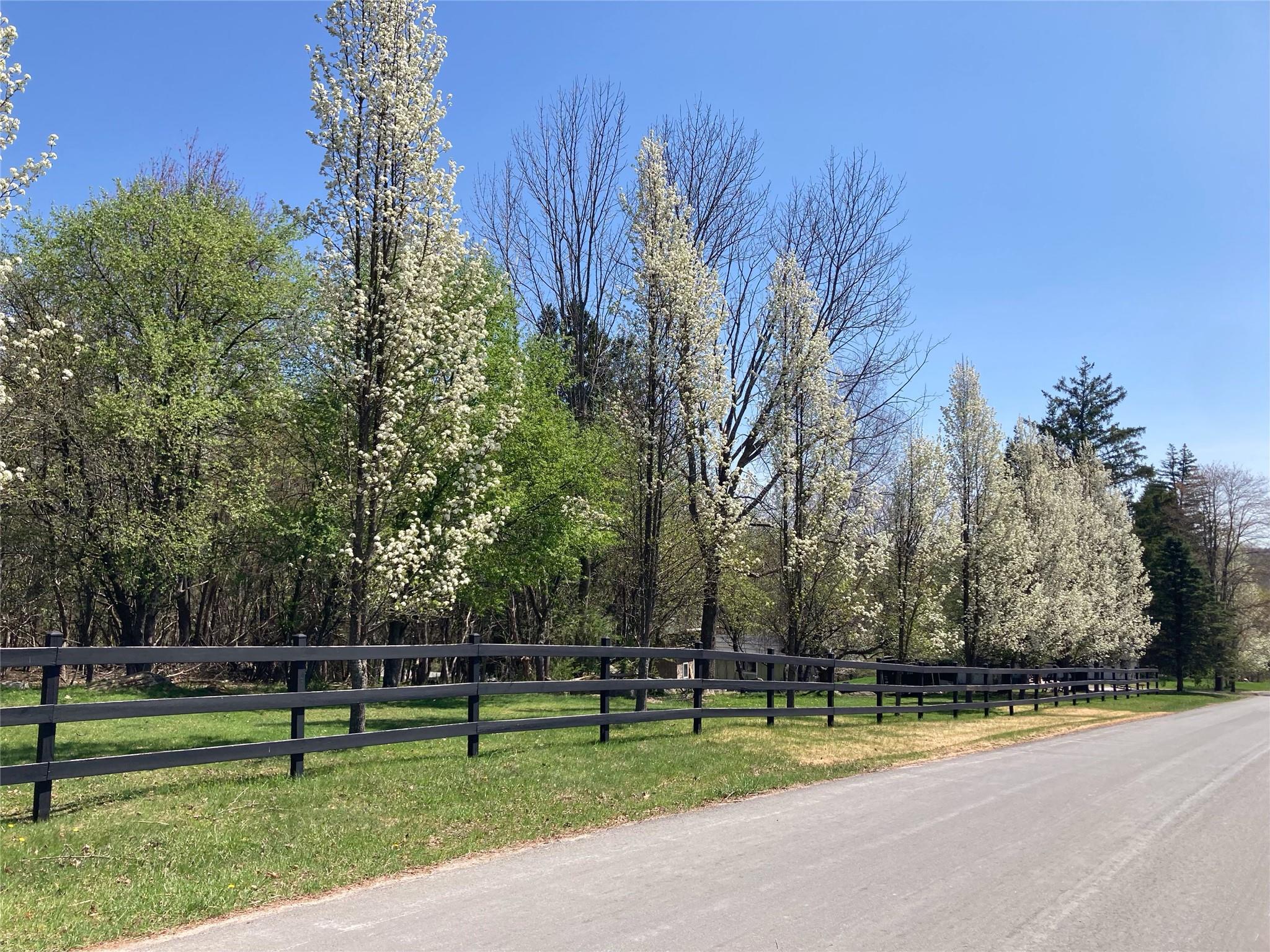 California Avenue, Liberty, NY 12754