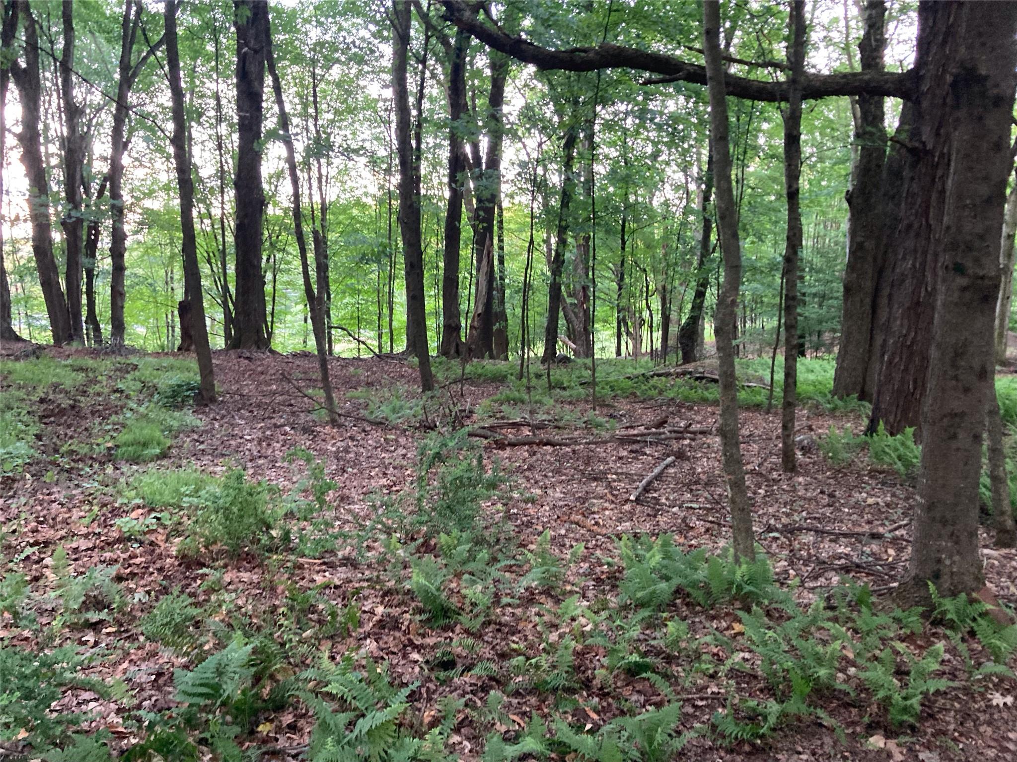 California Avenue, Liberty, NY 12754